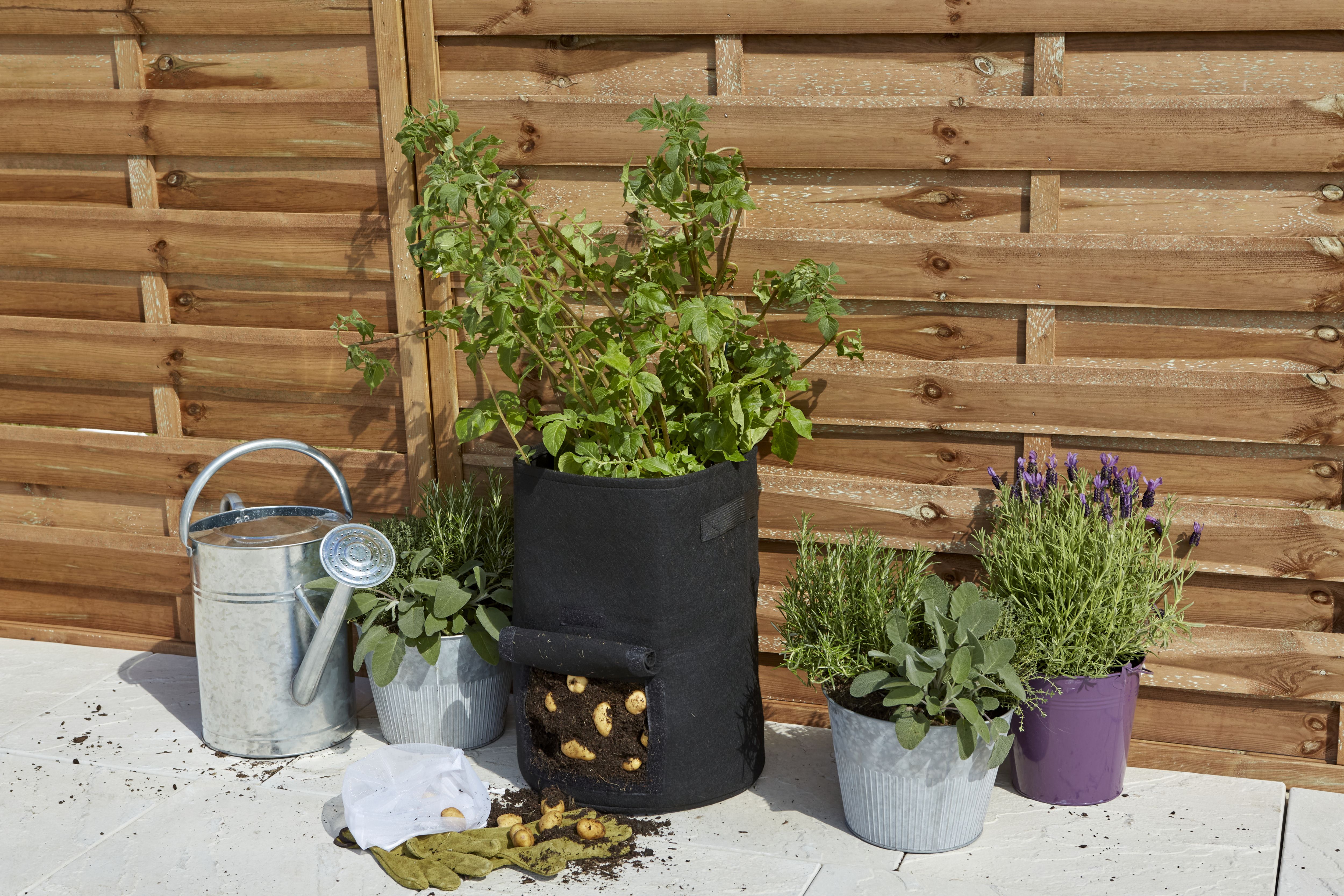 Verve Black Round Planter