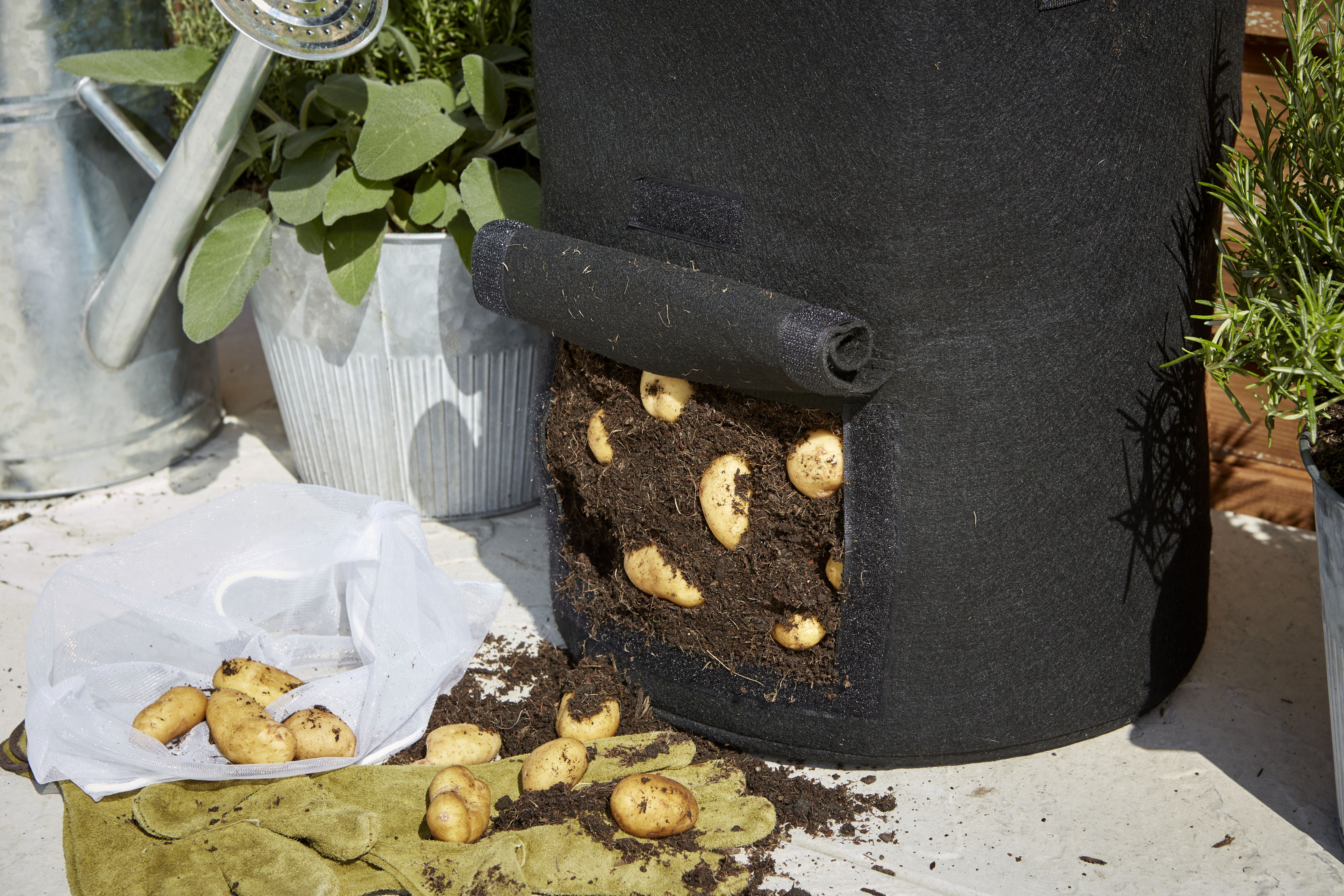 Verve Black Round Planter