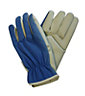 Verve Blue Non safety gloves Large