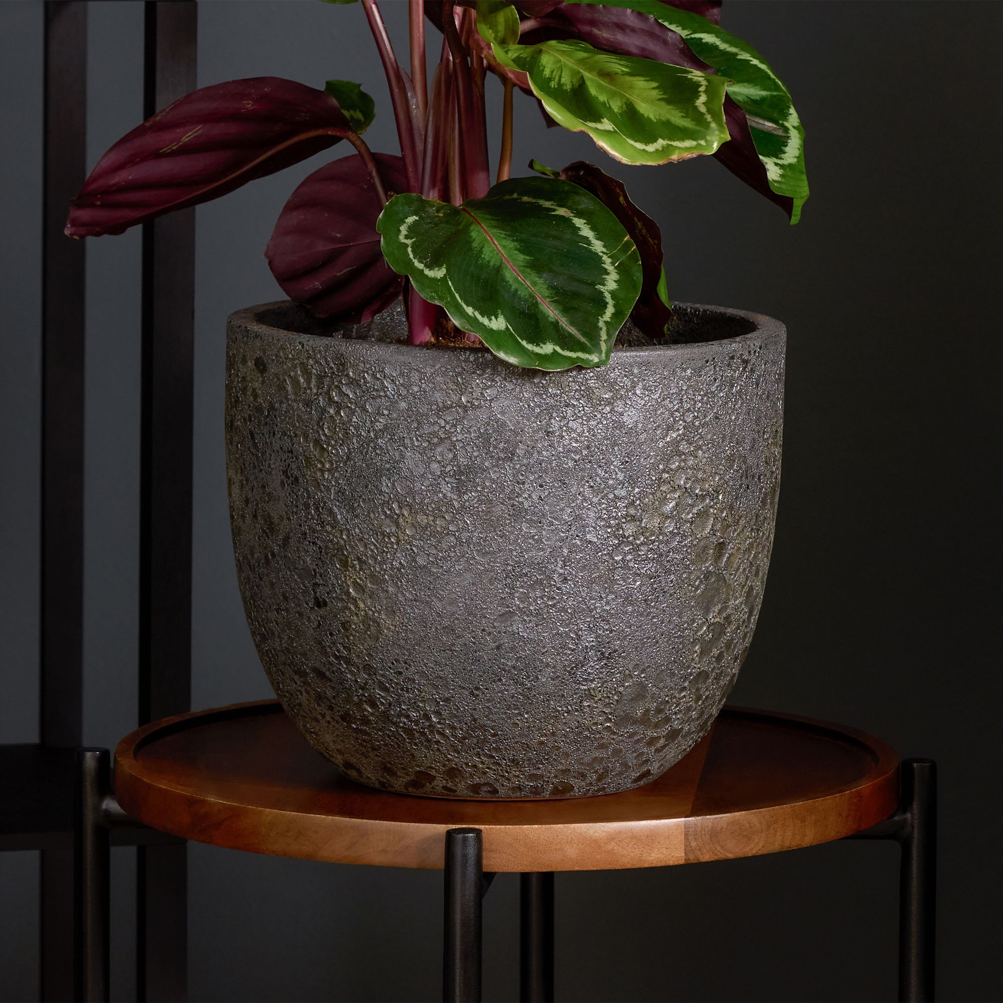 Verve Bronze Ceramic Plant pot (Dia) 24cm, (H)20.5cm