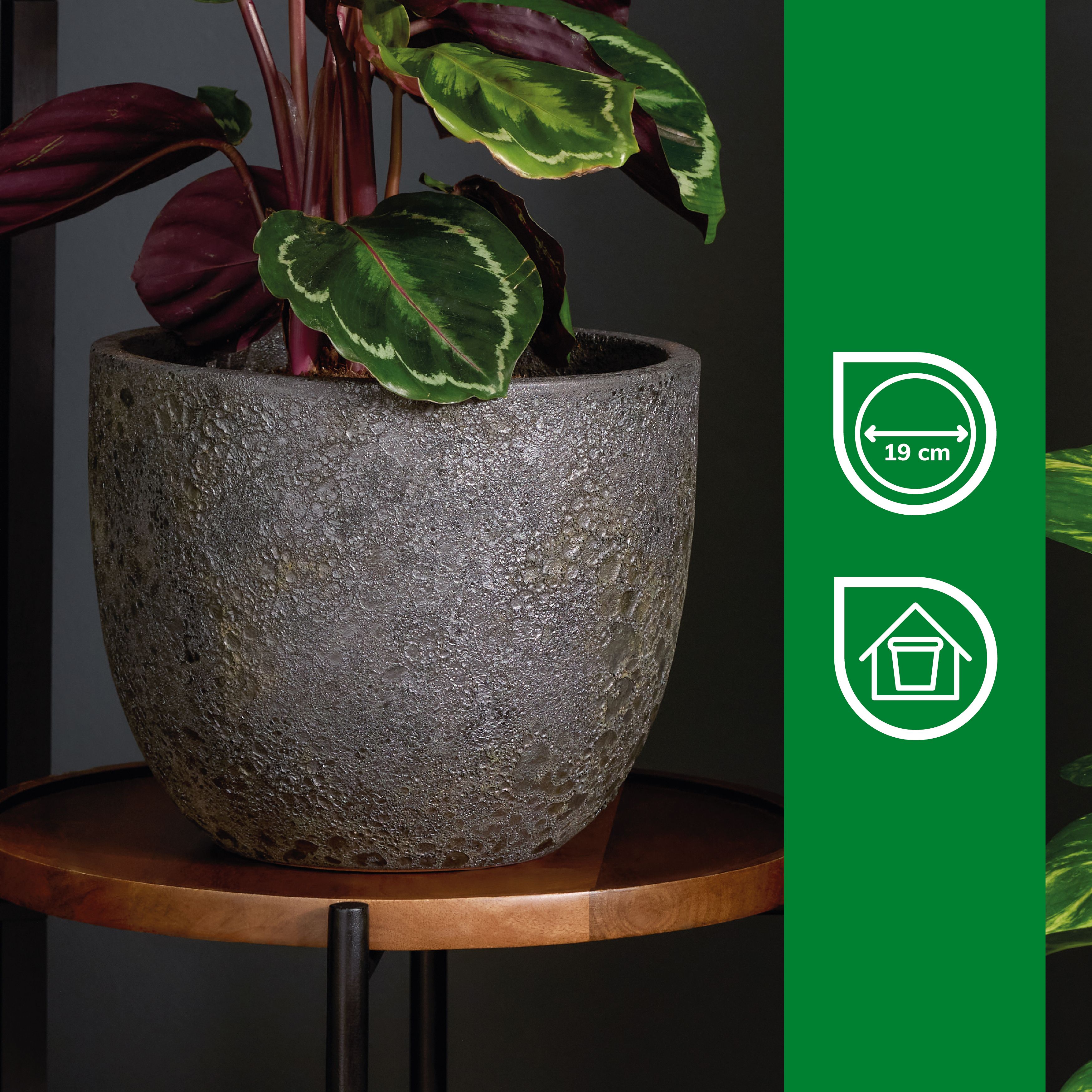 Verve Bronze Ceramic Plant pot (Dia) 24cm, (H)20.5cm