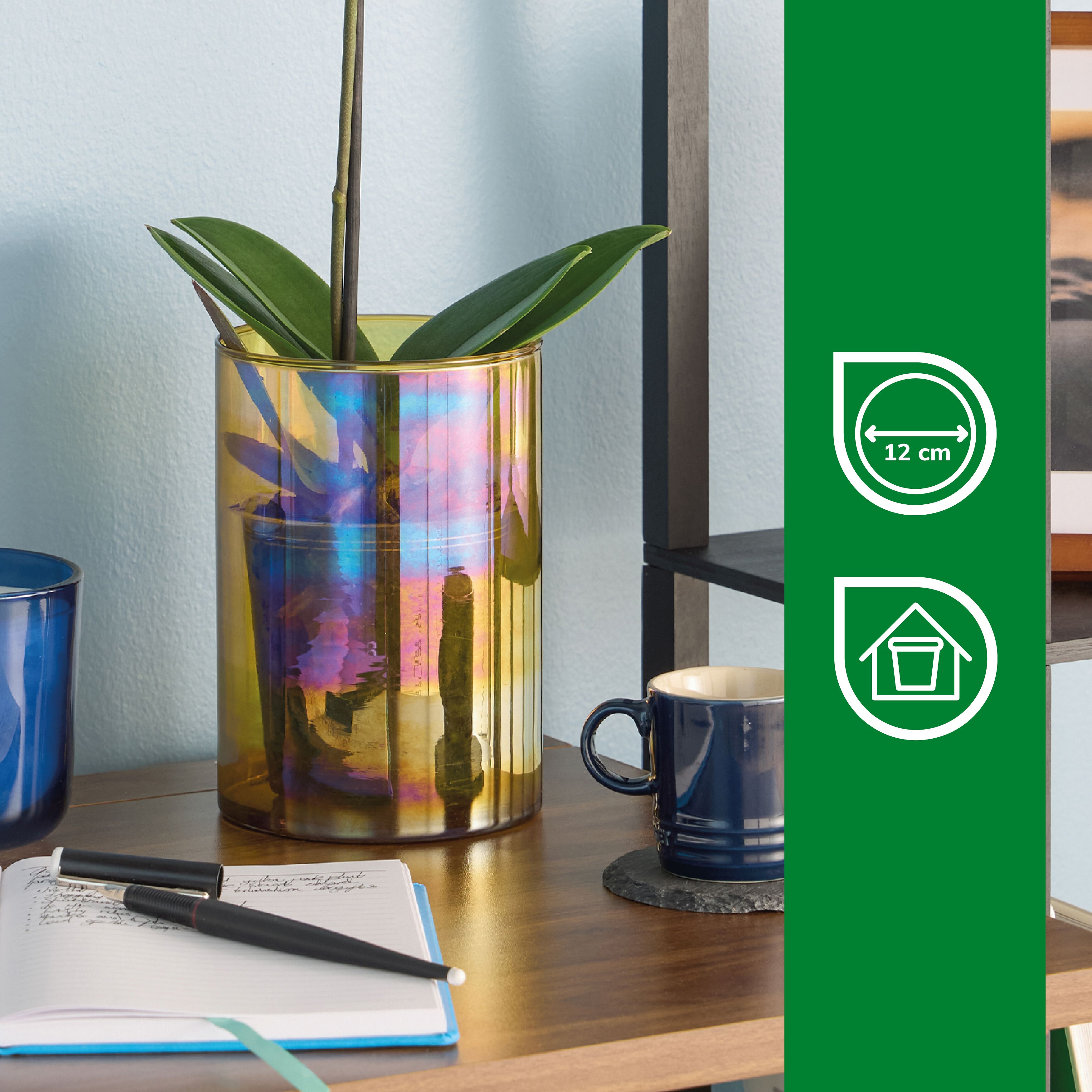 Verve Brown Glass Plant pot (Dia) 12.5cm, (H)18cm