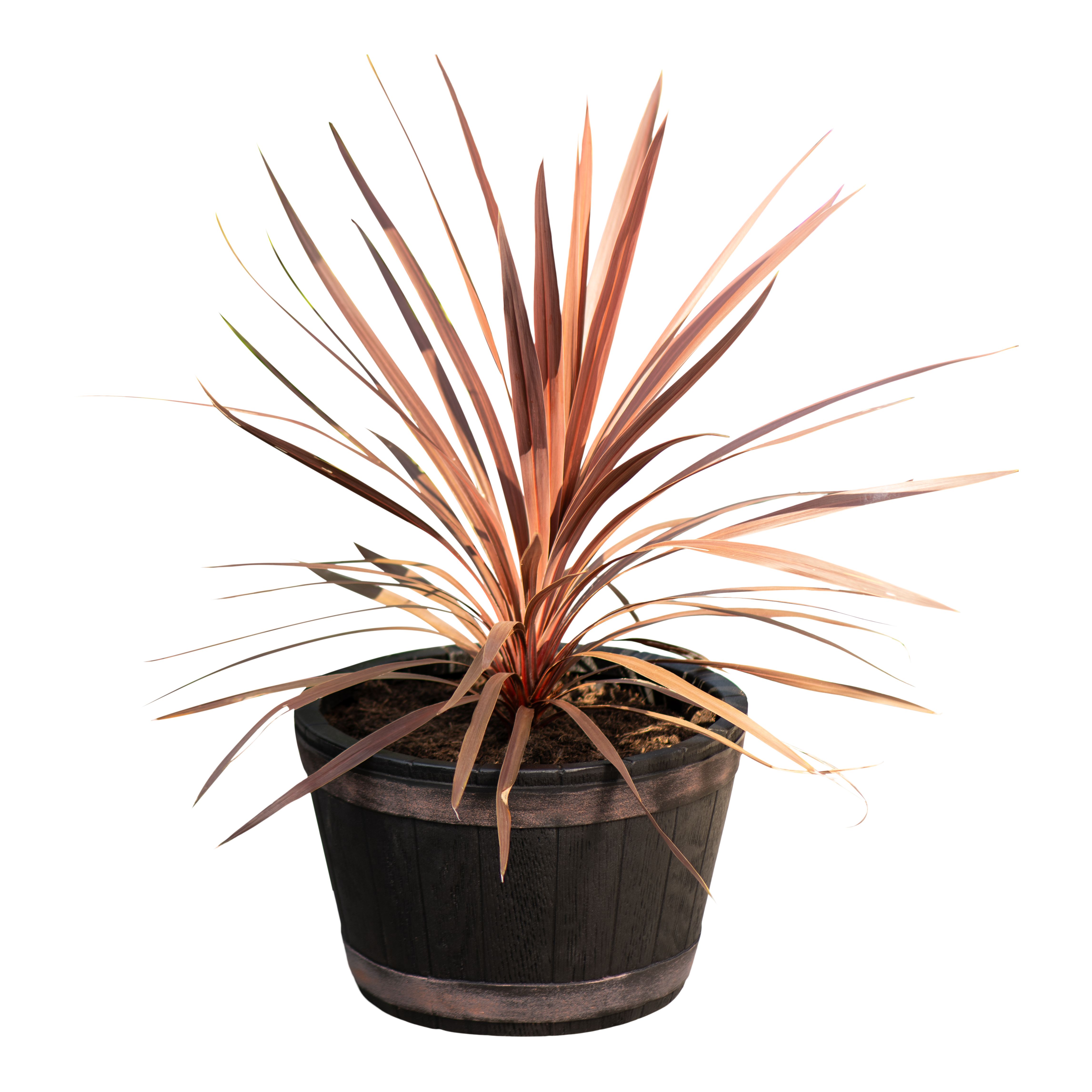 Verve Brown Wood effect Barrel Plastic Plant pot (Dia) 38cm, (H)24.5cm