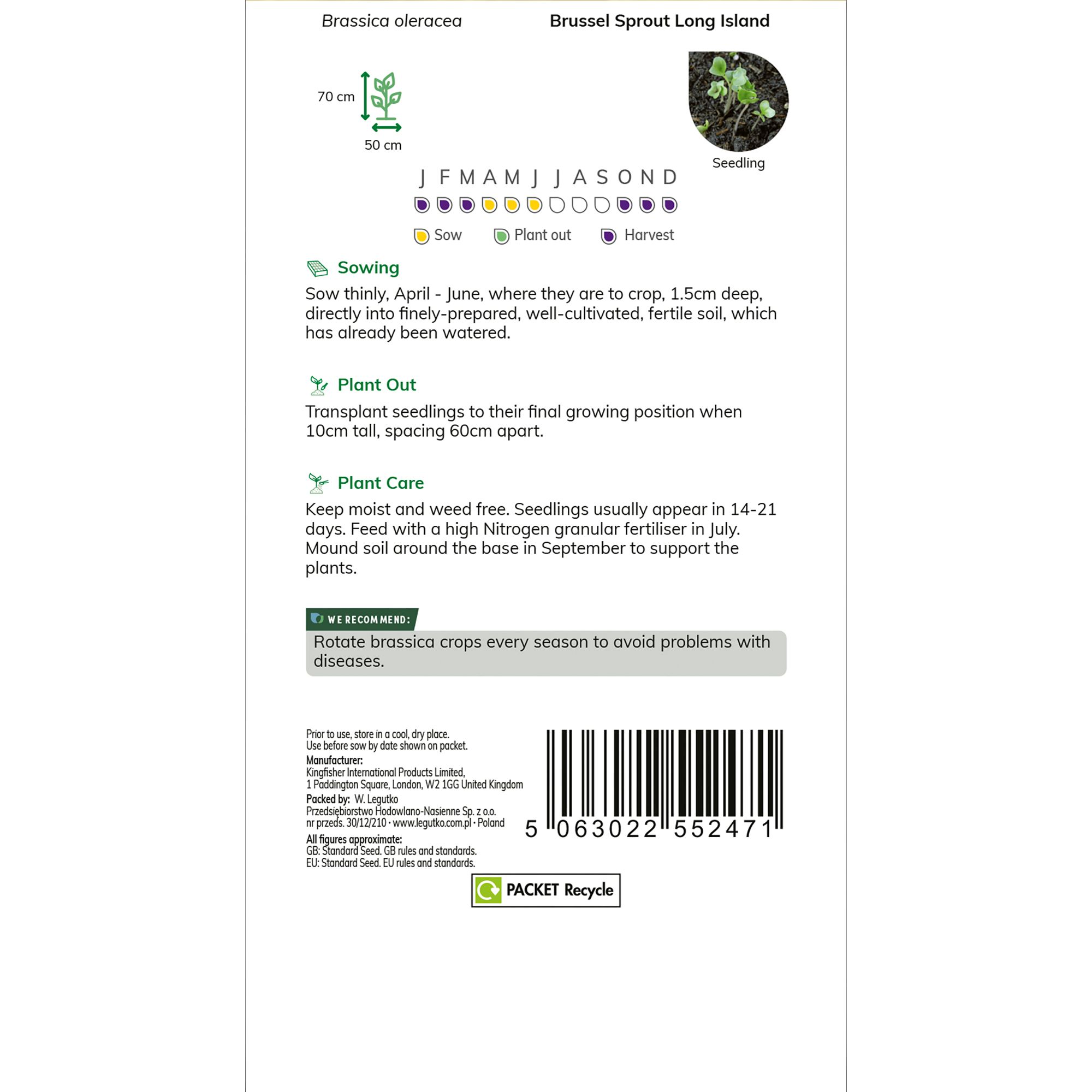 Verve Brussel sprout 'Long Island' Vegetable Seeds
