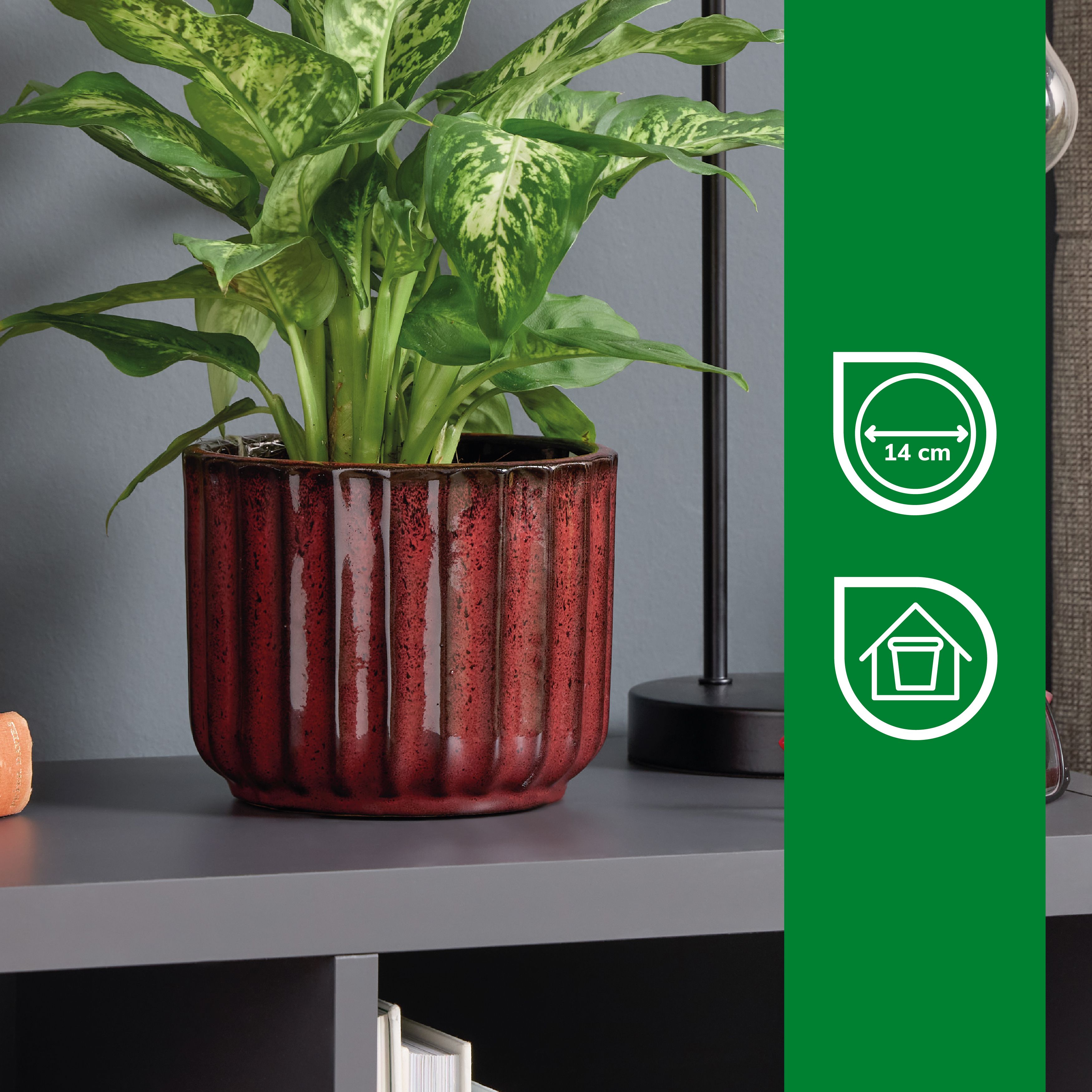 Verve Burnt russet Red Wide ribbed Ceramic Plant pot (Dia) 16cm, (H)13cm