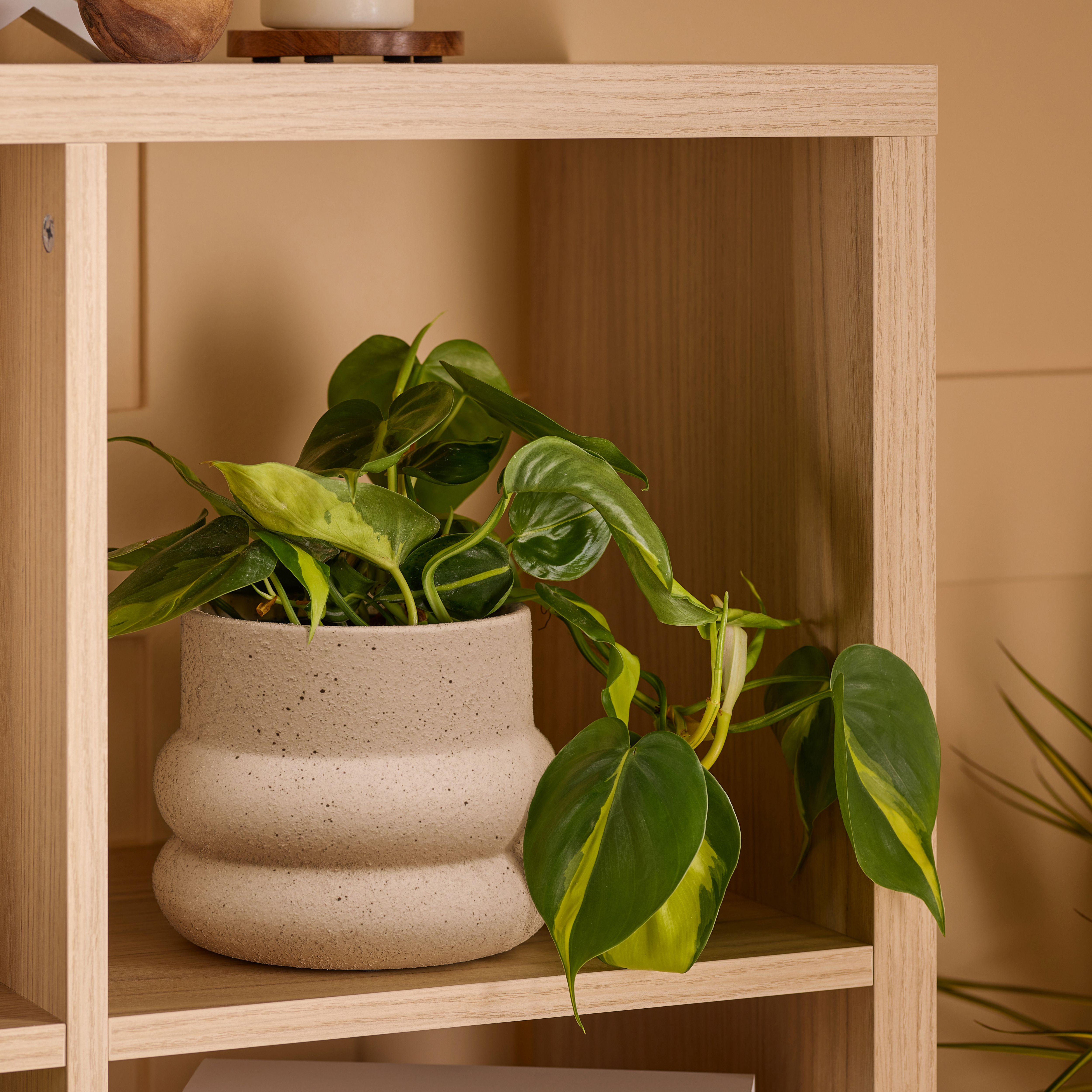 Verve Cream Ceramic Plant pot (Dia) 15.5cm, (H)13.3cm
