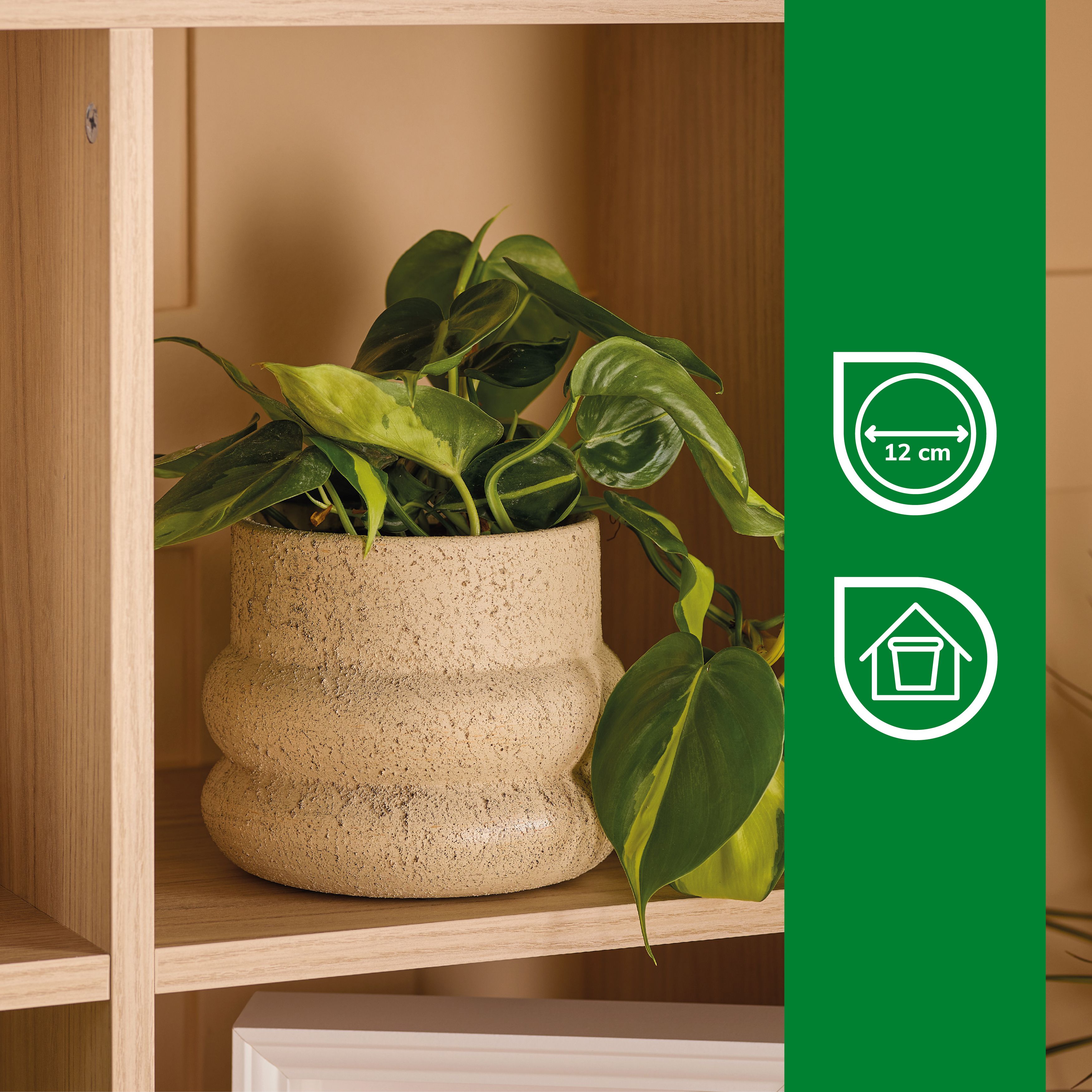 Verve Cream Ceramic Plant pot (Dia) 15.5cm, (H)13.3cm