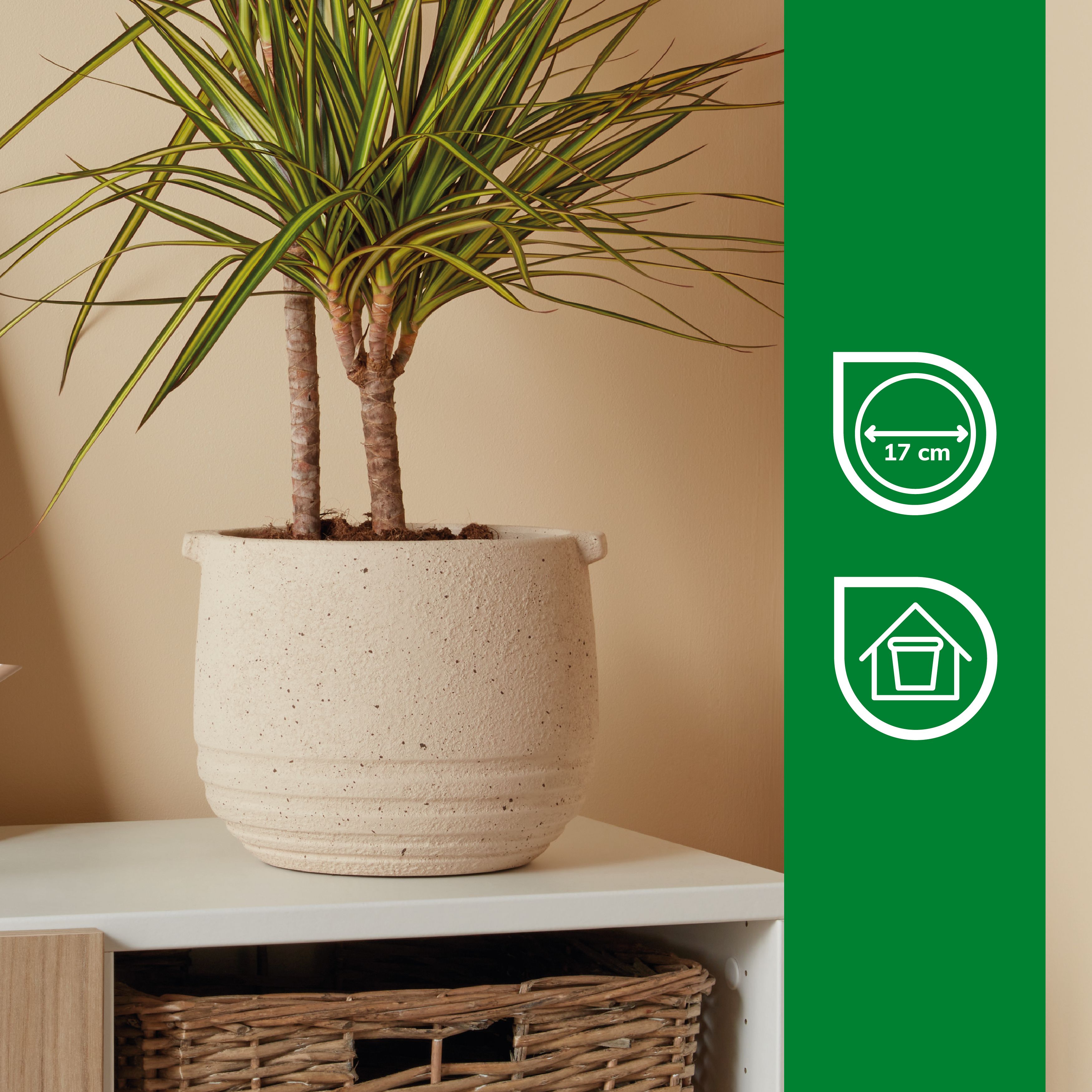 Verve Cream Clay Plant pot (Dia) 20cm, (H)17cm
