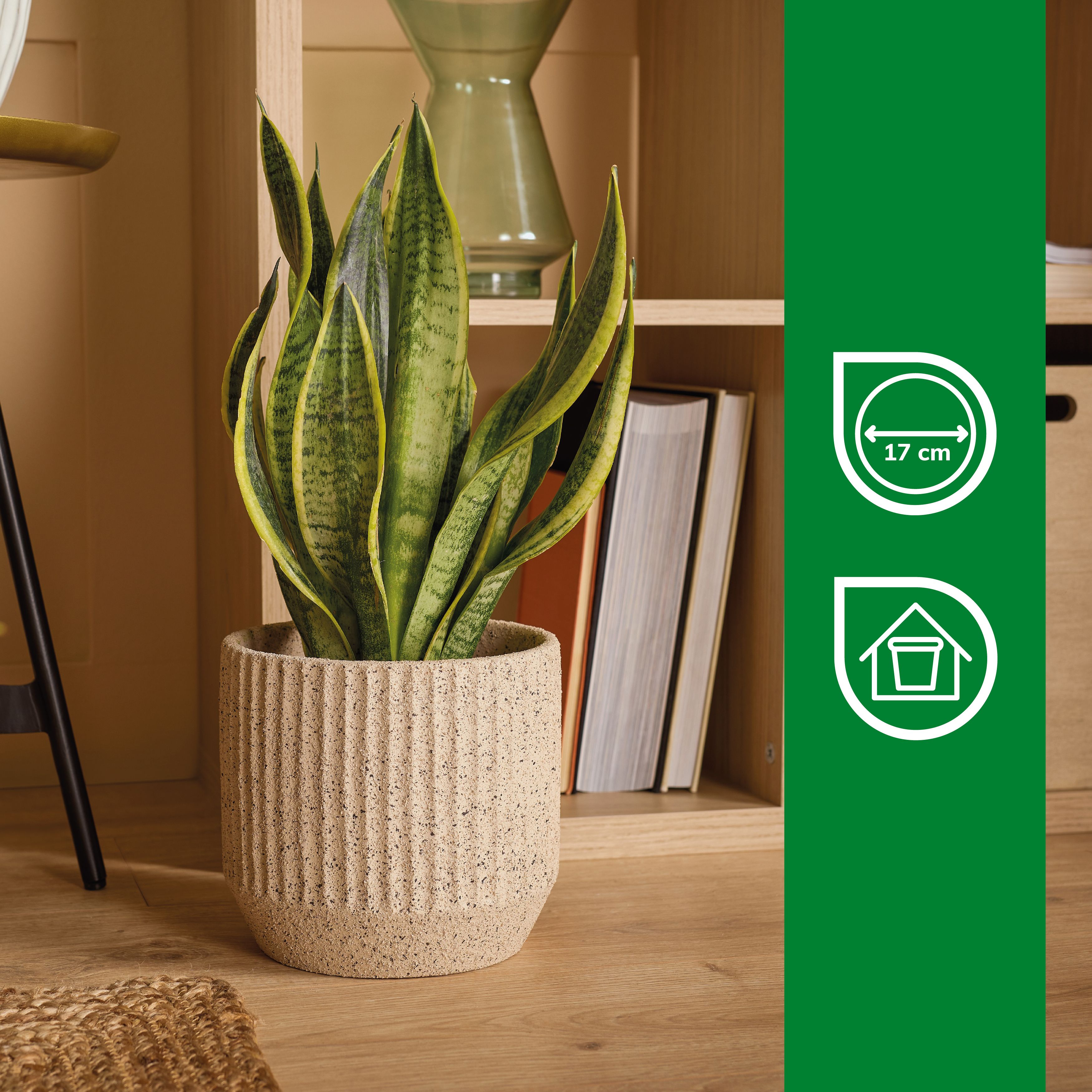 Verve Cream Ribbed Clay Plant pot (Dia) 19cm, (H)18cm