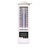 Verve Digital Wall-mounted digital thermometer