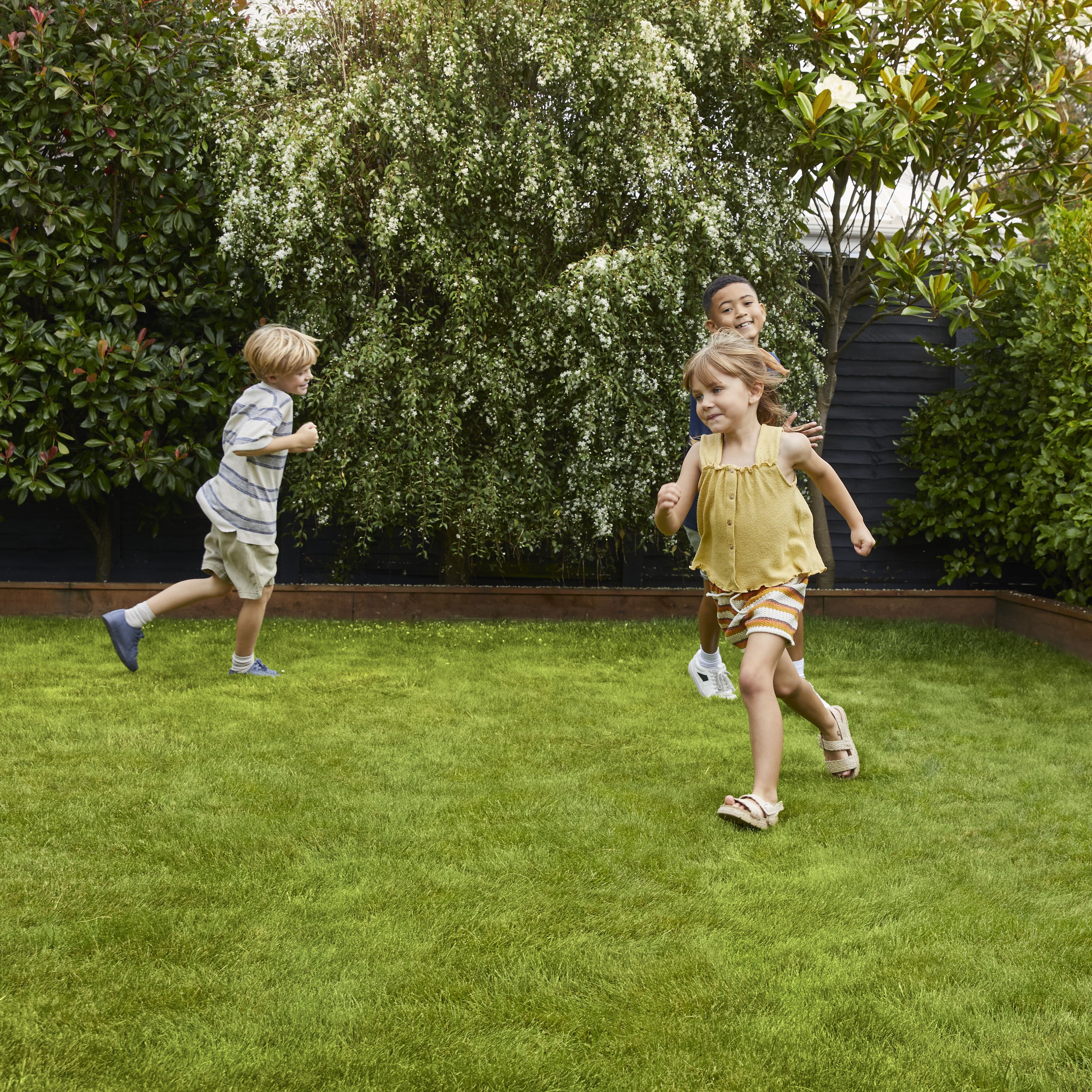 Verve Family & sports Grass seeds 5kg