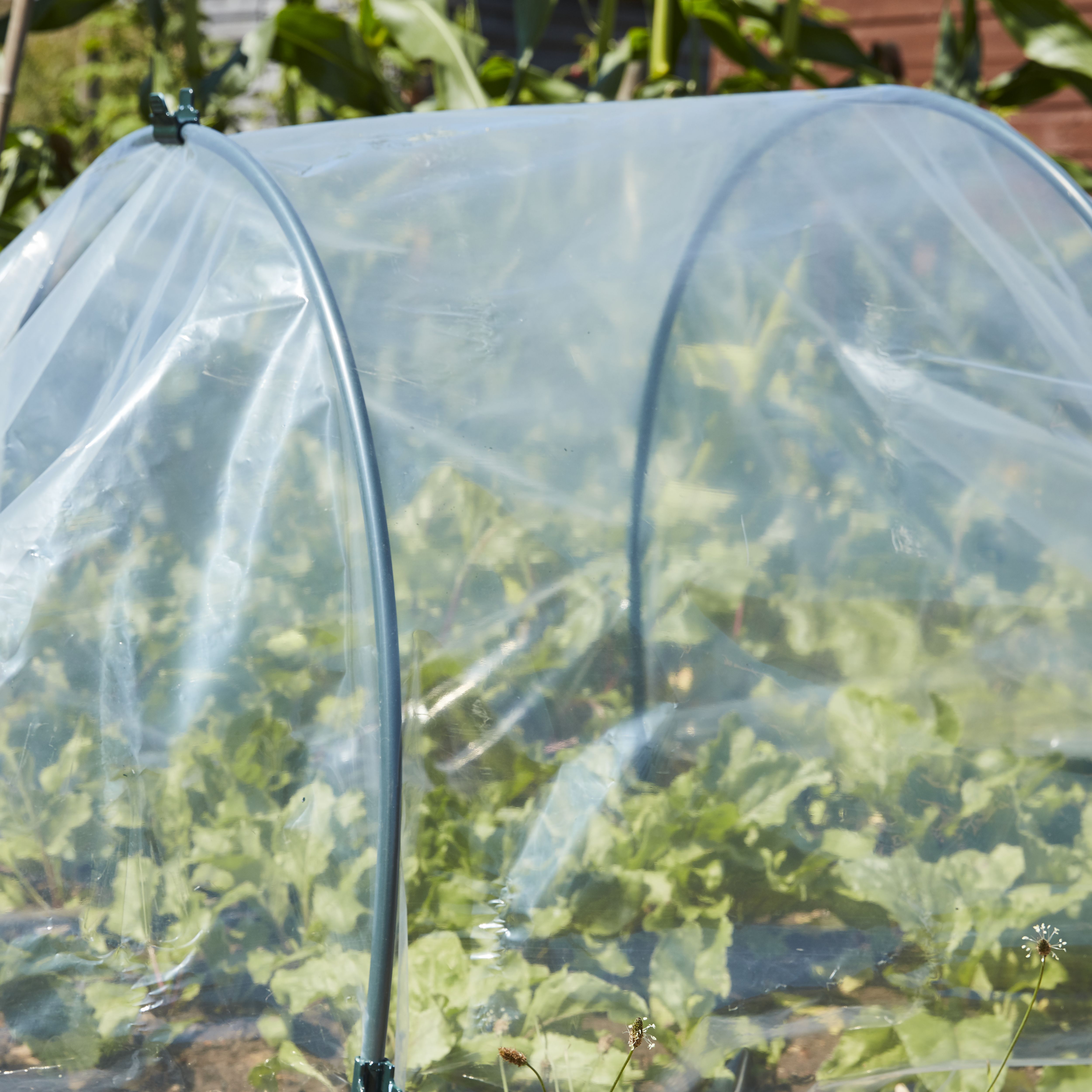Verve Garden cover, (L)10m (W)2m