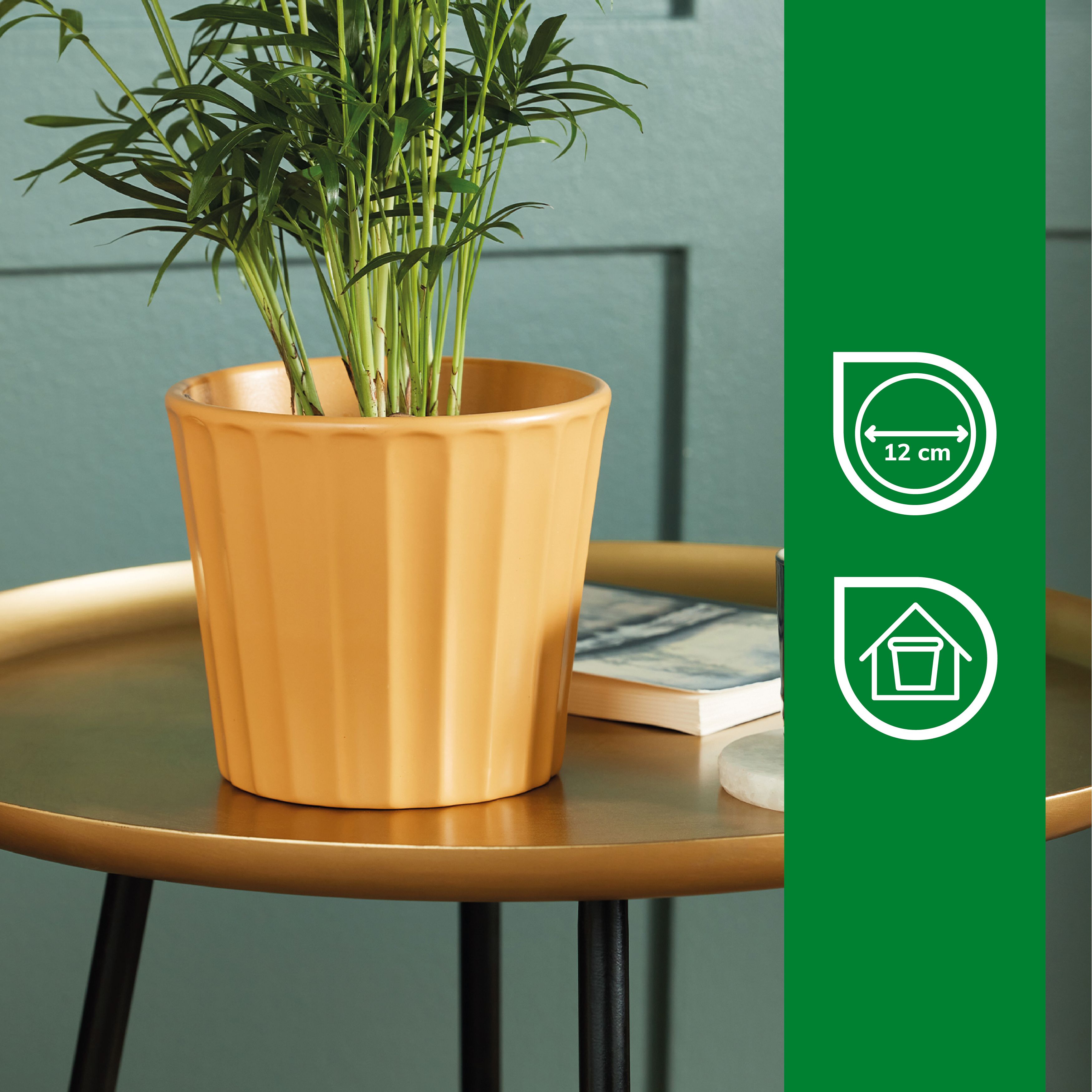Verve Golden Apricot Yellow Ribbed Clay Plant pot (Dia) 14.5cm, (H)13cm