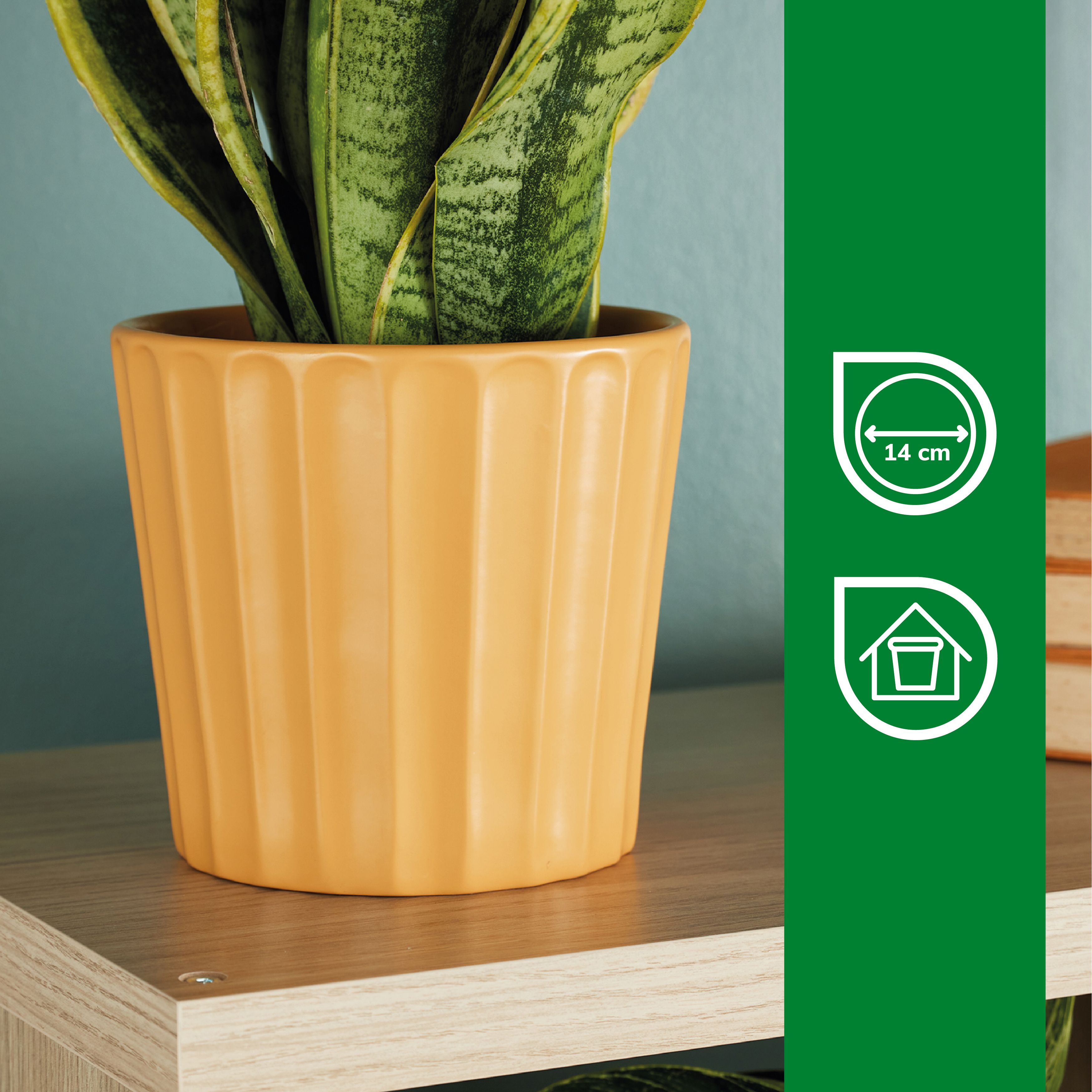 Verve Golden Apricot Yellow Ribbed Clay Plant pot (Dia) 16.5cm, (H)15cm