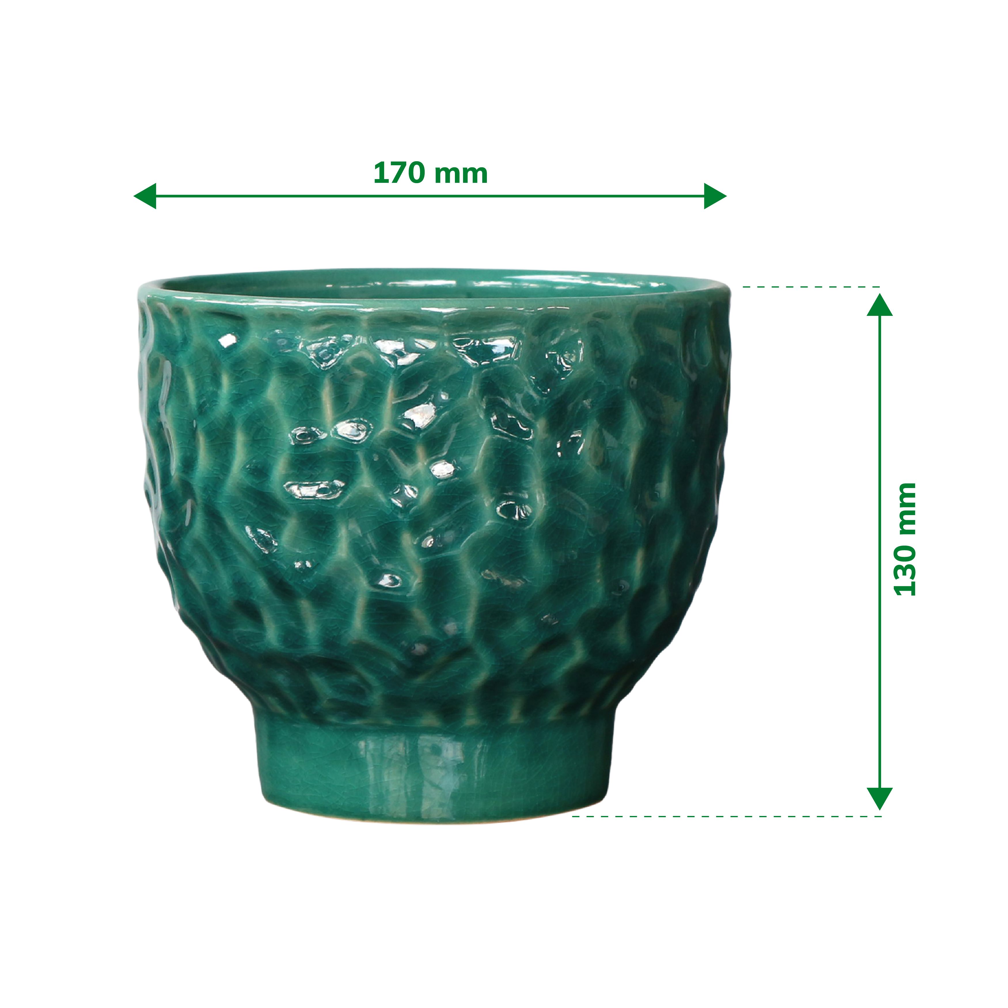 Verve Green Dimpled Ceramic Plant pot (Dia) 17cm, (H)13cm