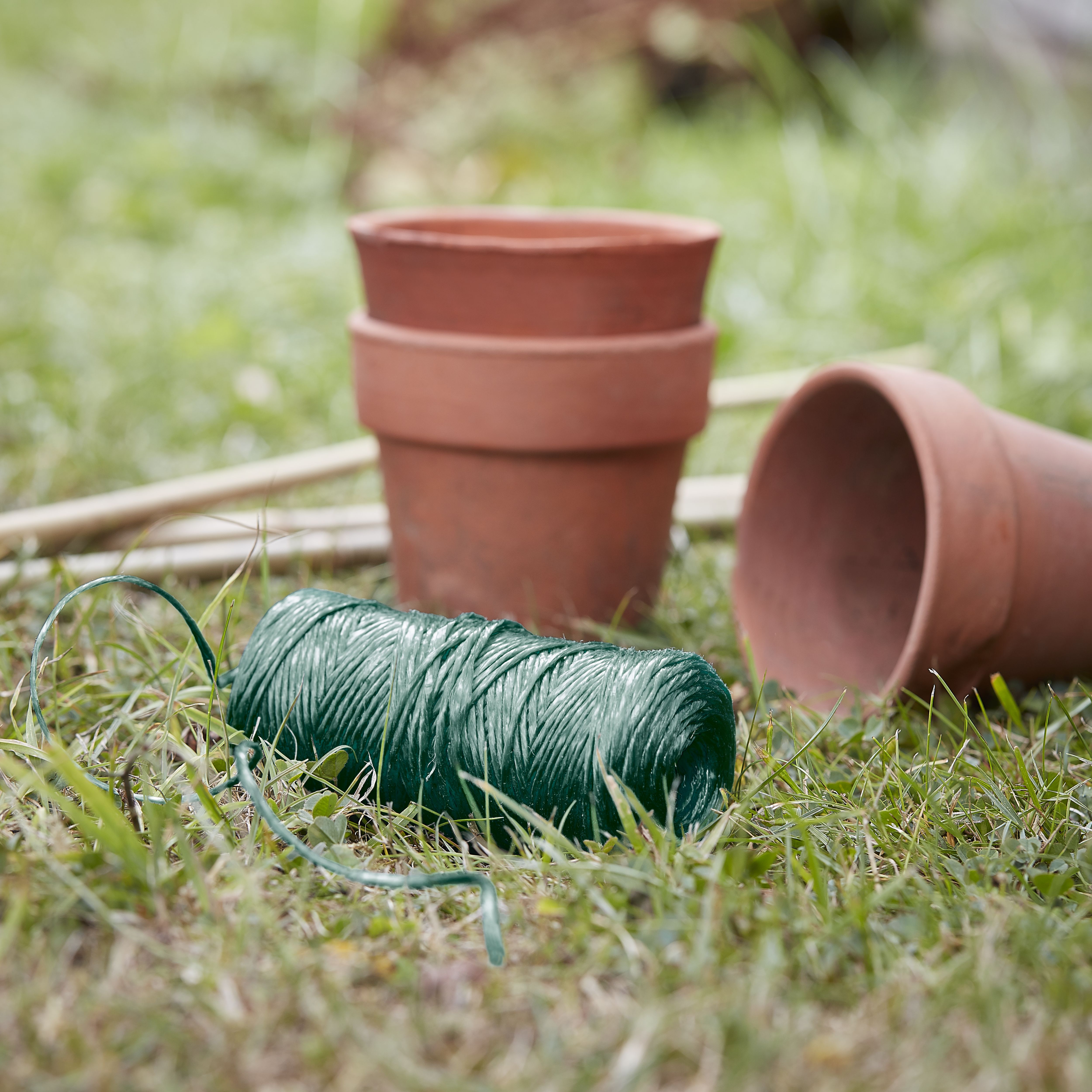 Verve Green Jute Plant tie