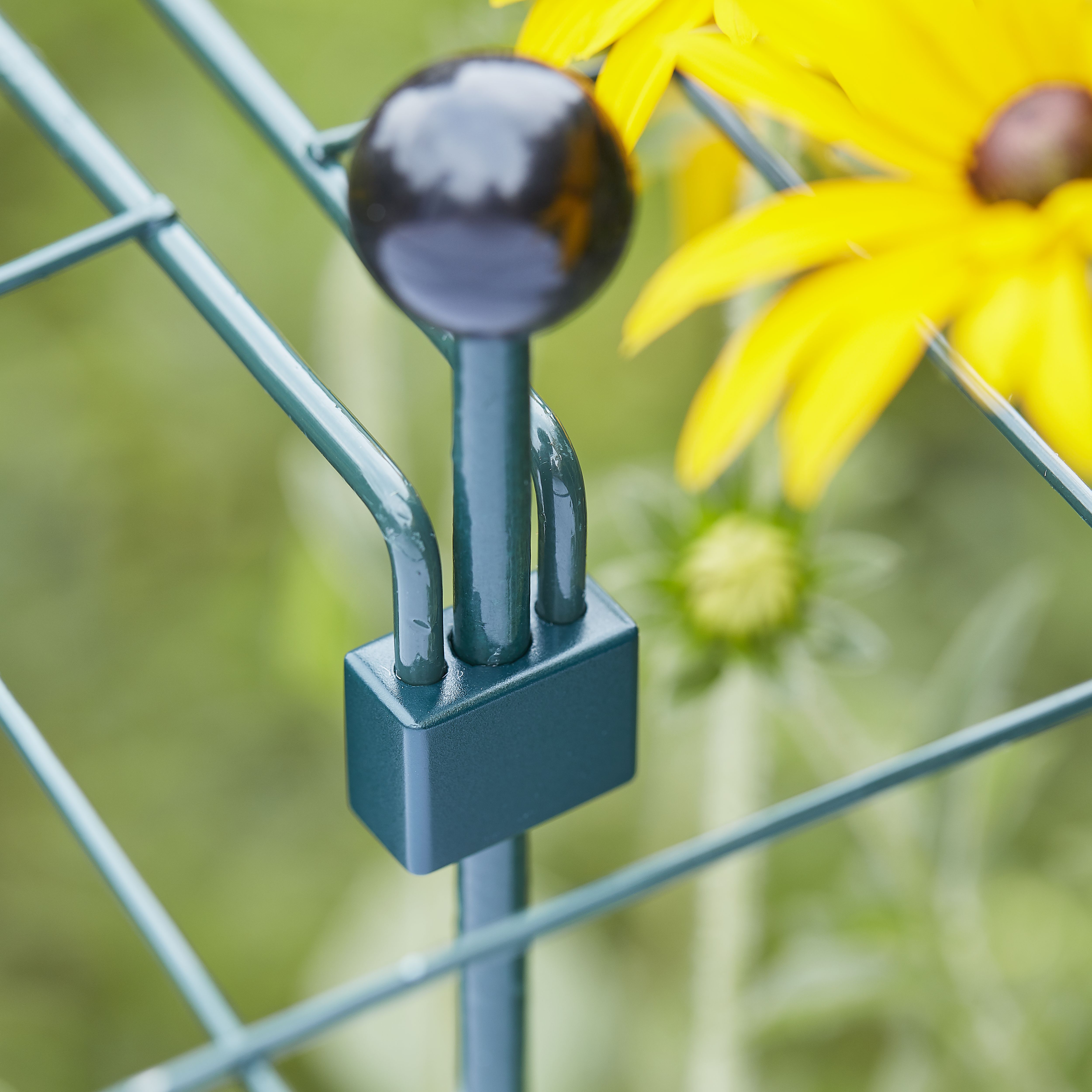 Verve Green Plant clip, Pack of 4