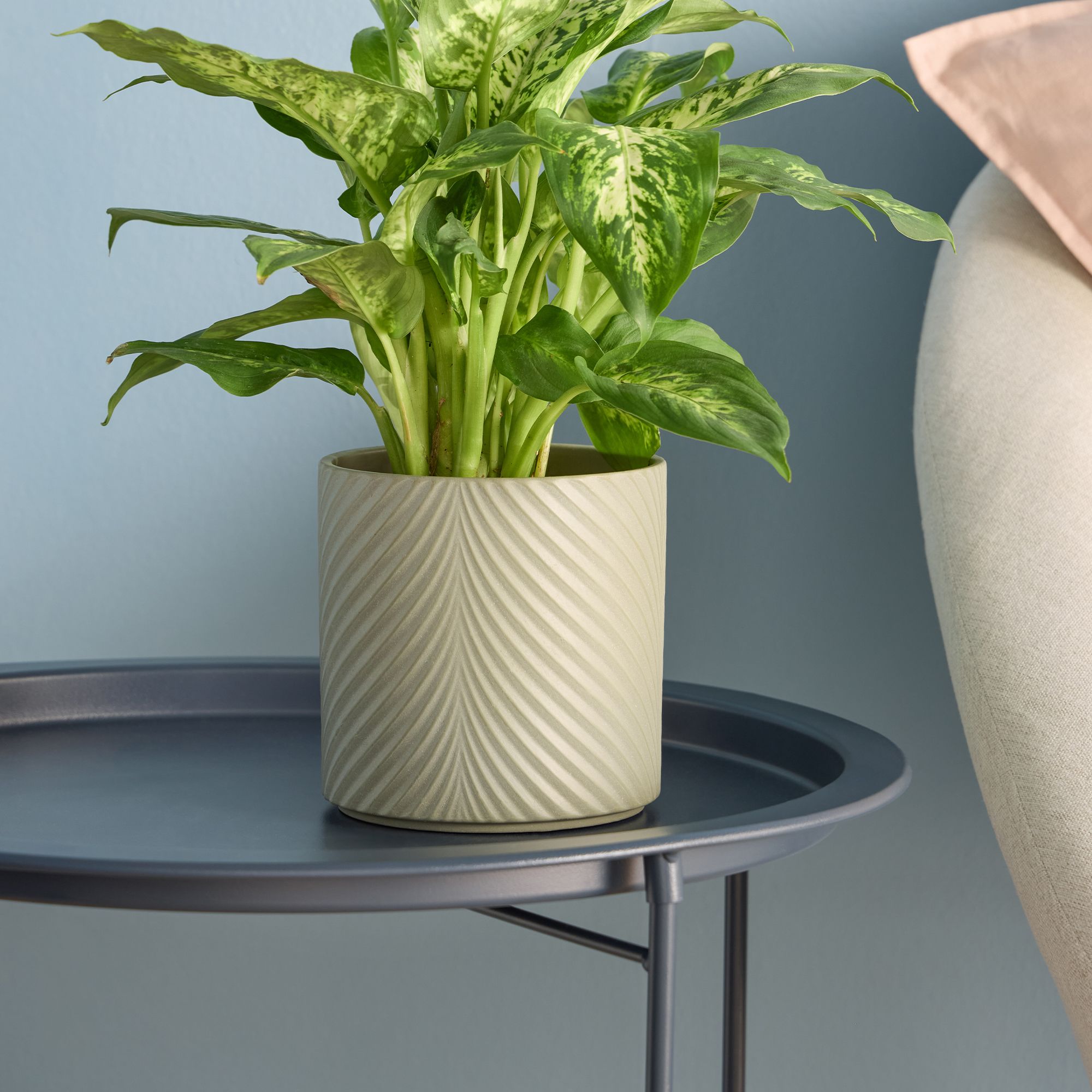 Verve Green Wave Ceramic Plant pot (Dia) 13cm, (H)13cm