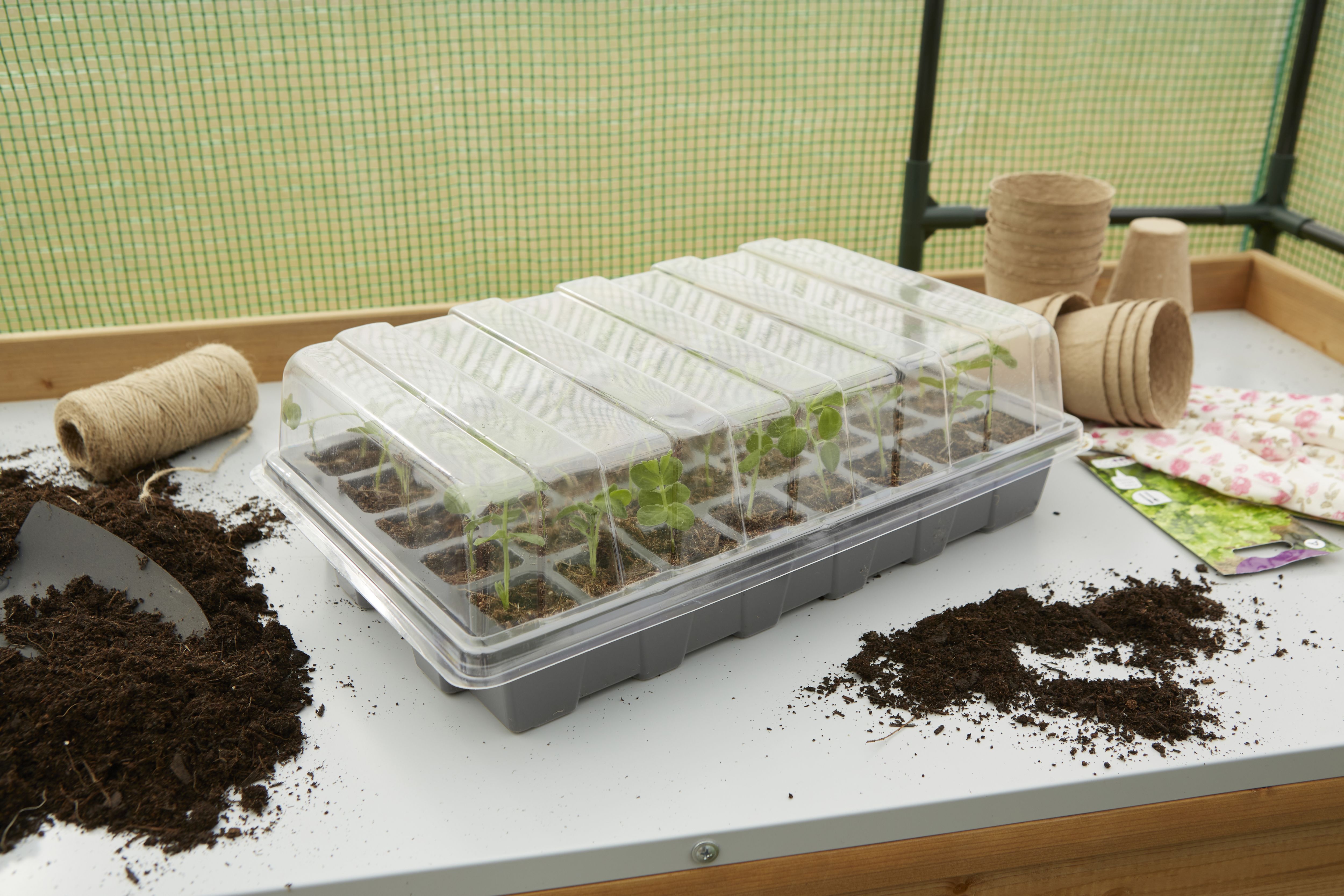 Verve Grey Seed Tray (L)39cm, Set
