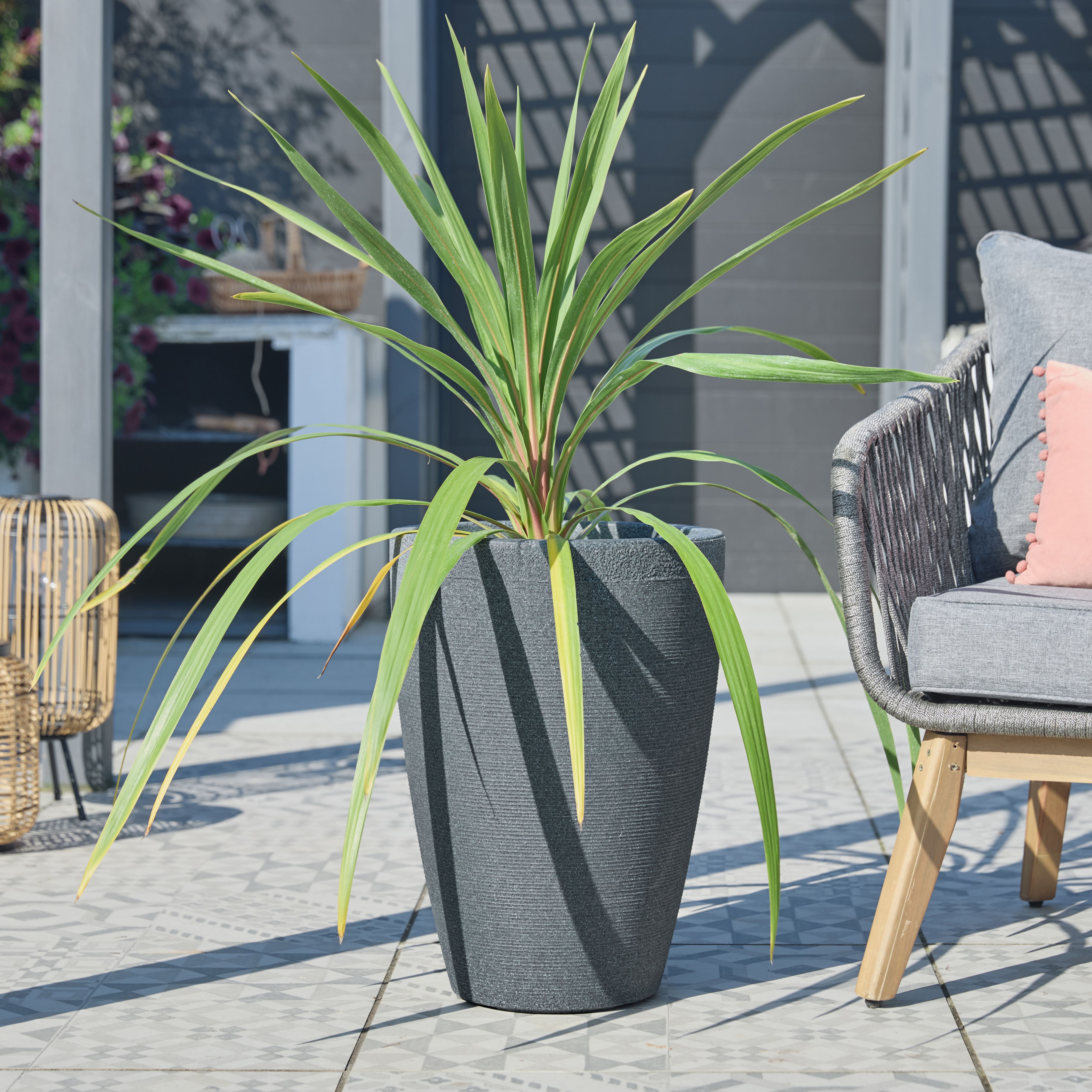 Verve Grey Stone effect Tall Ridged Planter Plastic Plant pot (Dia) 35cm, (H)50cm