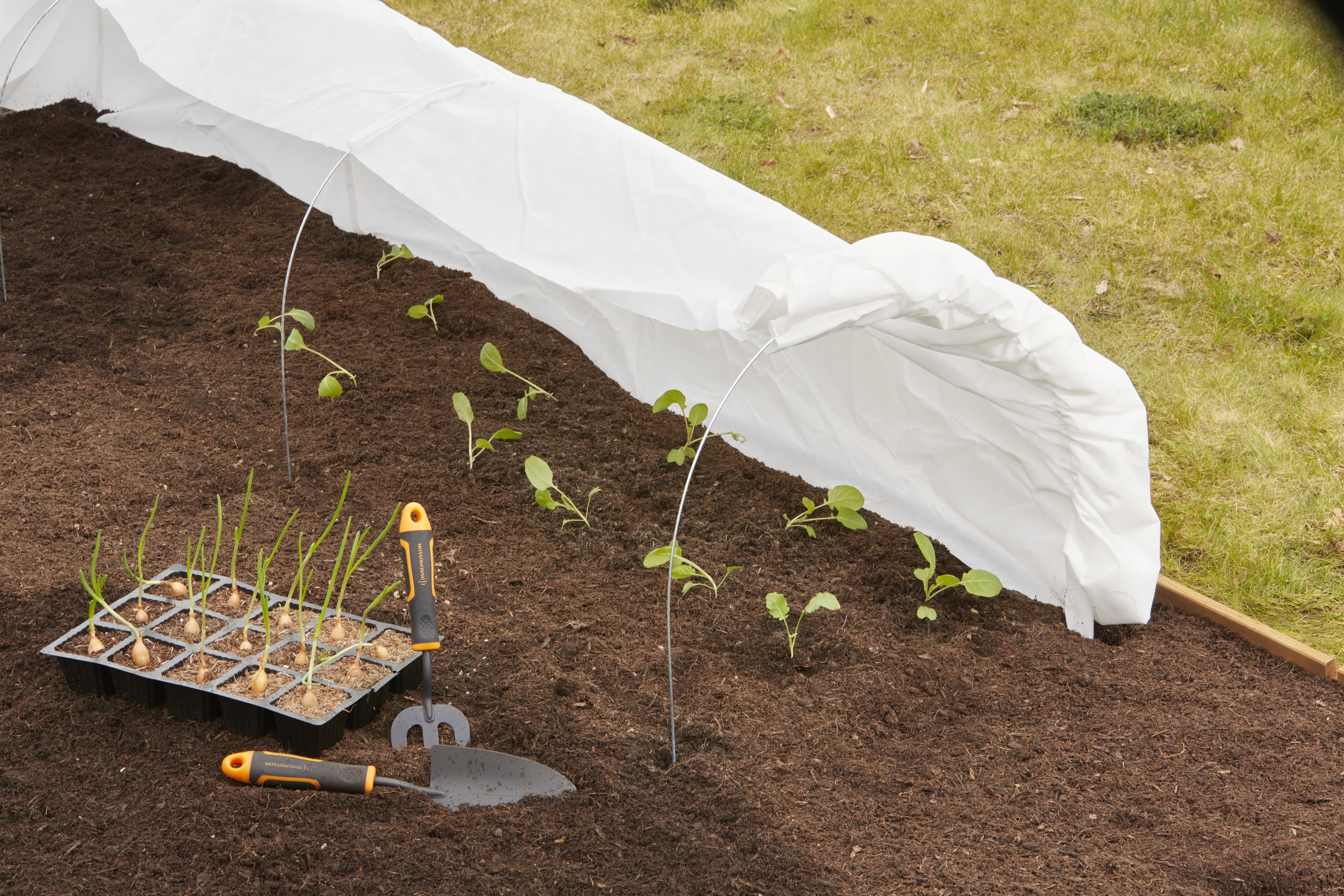 Verve Grow tunnel