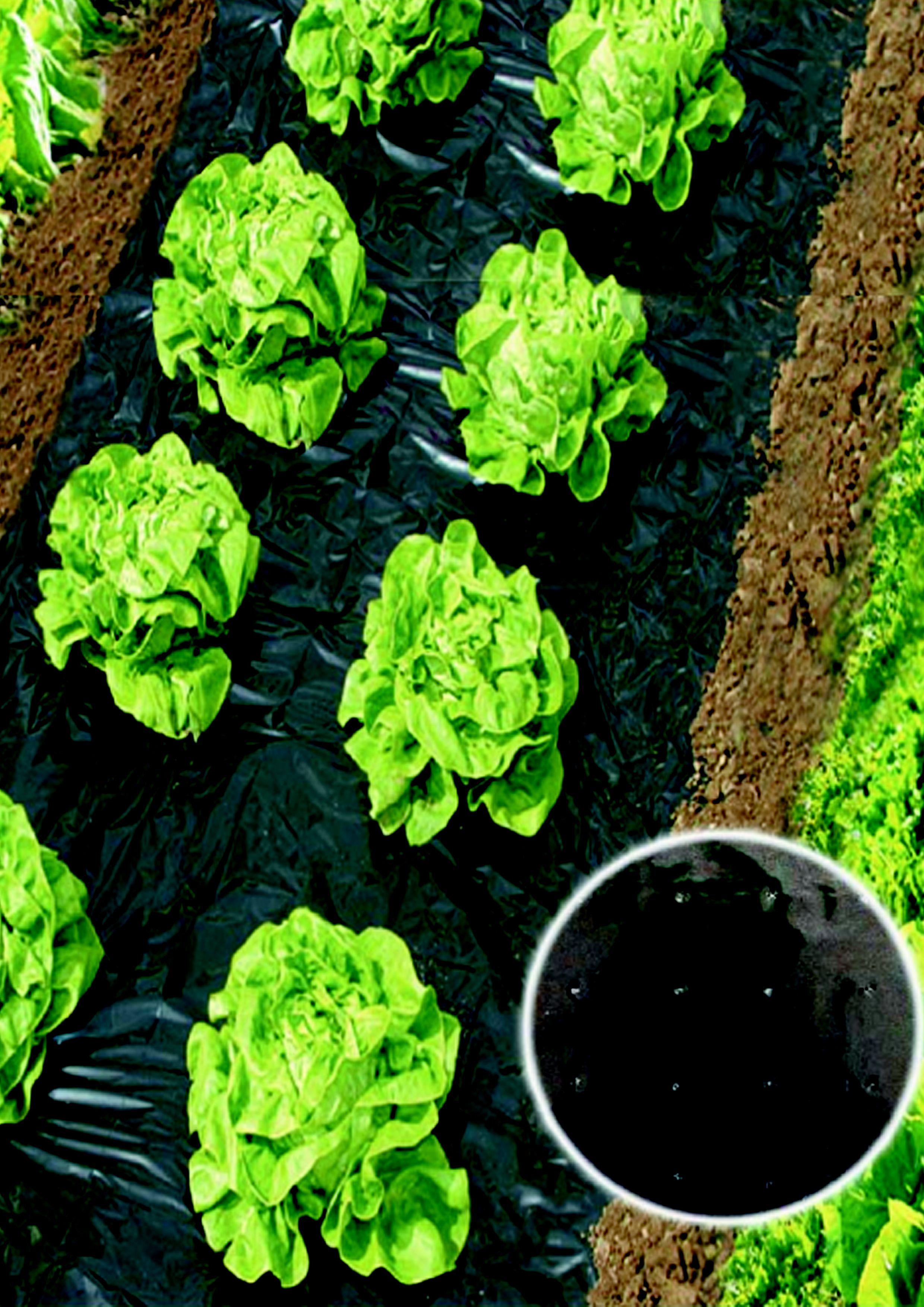 Verve Landscaping fabric (W)2m (L)5m
