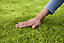Verve Mamaterra Lawn repair 0m² 1kg
