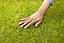 Verve Mamaterra Lawn repair 100m² 2.5kg