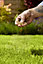 Verve Mamaterra Lawn repair 100m² 2.5kg