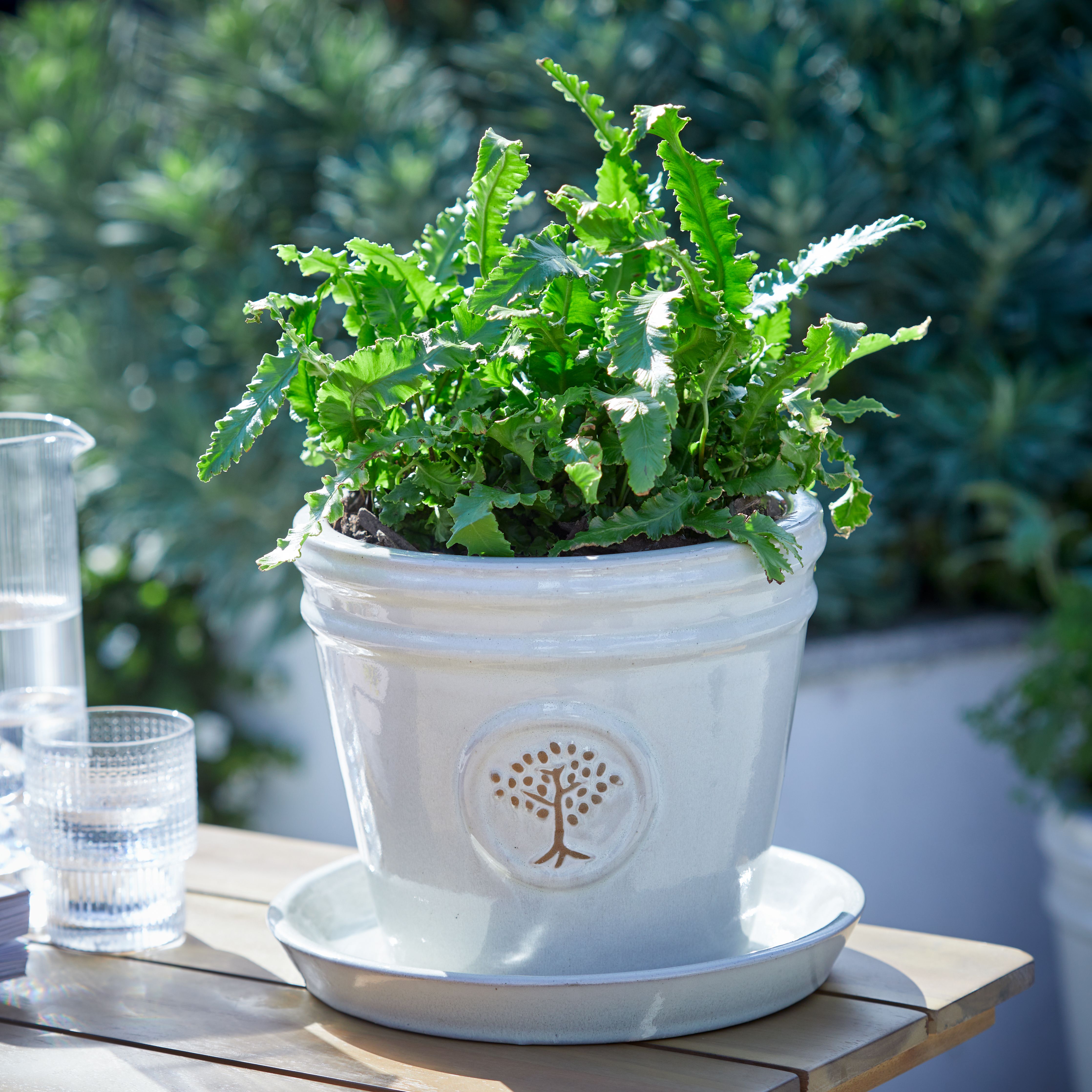 Verve Moon Beam White Ceramic Plant pot (Dia) 20cm, (H)18cm