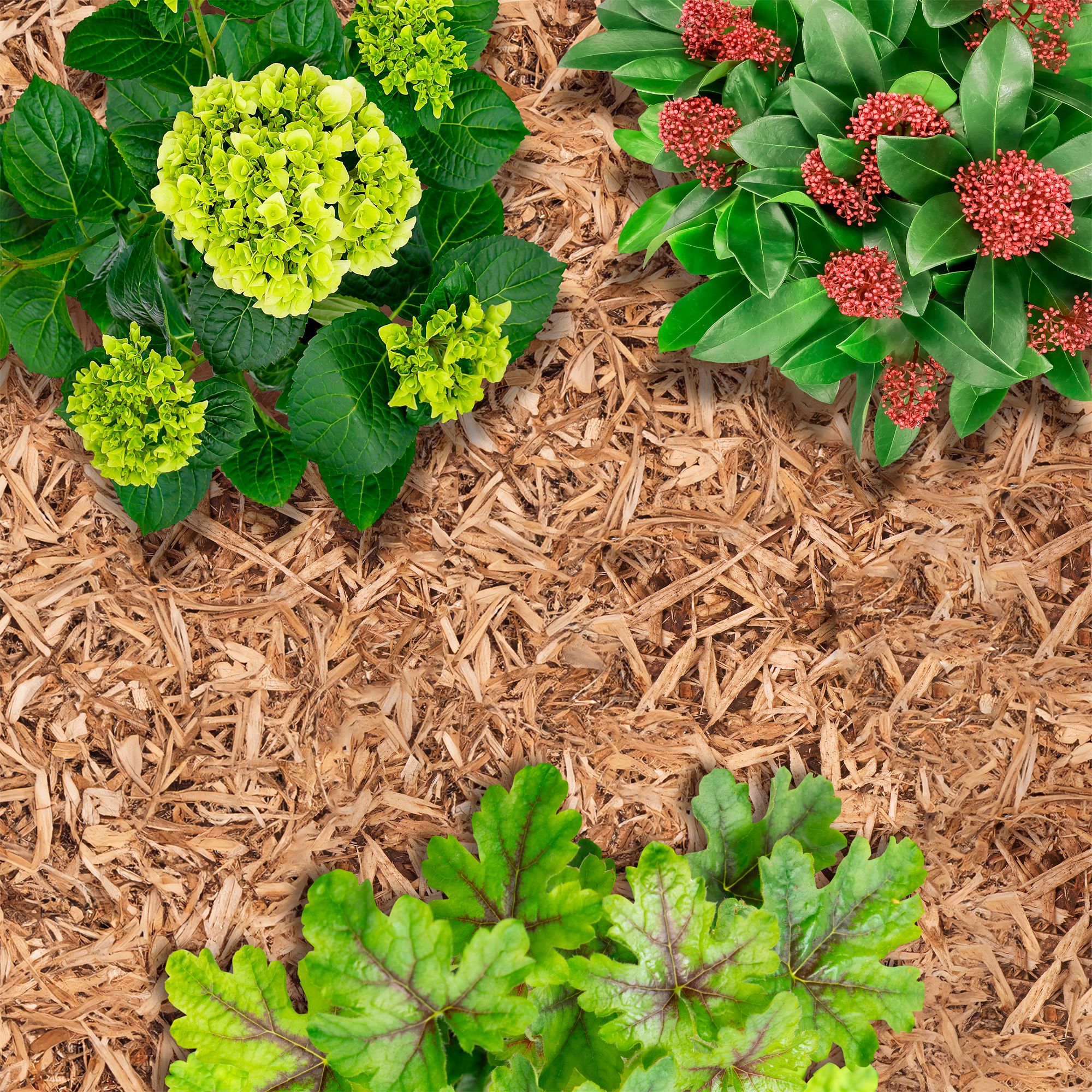 Verve Natural Woodchip mulch 100L Bag