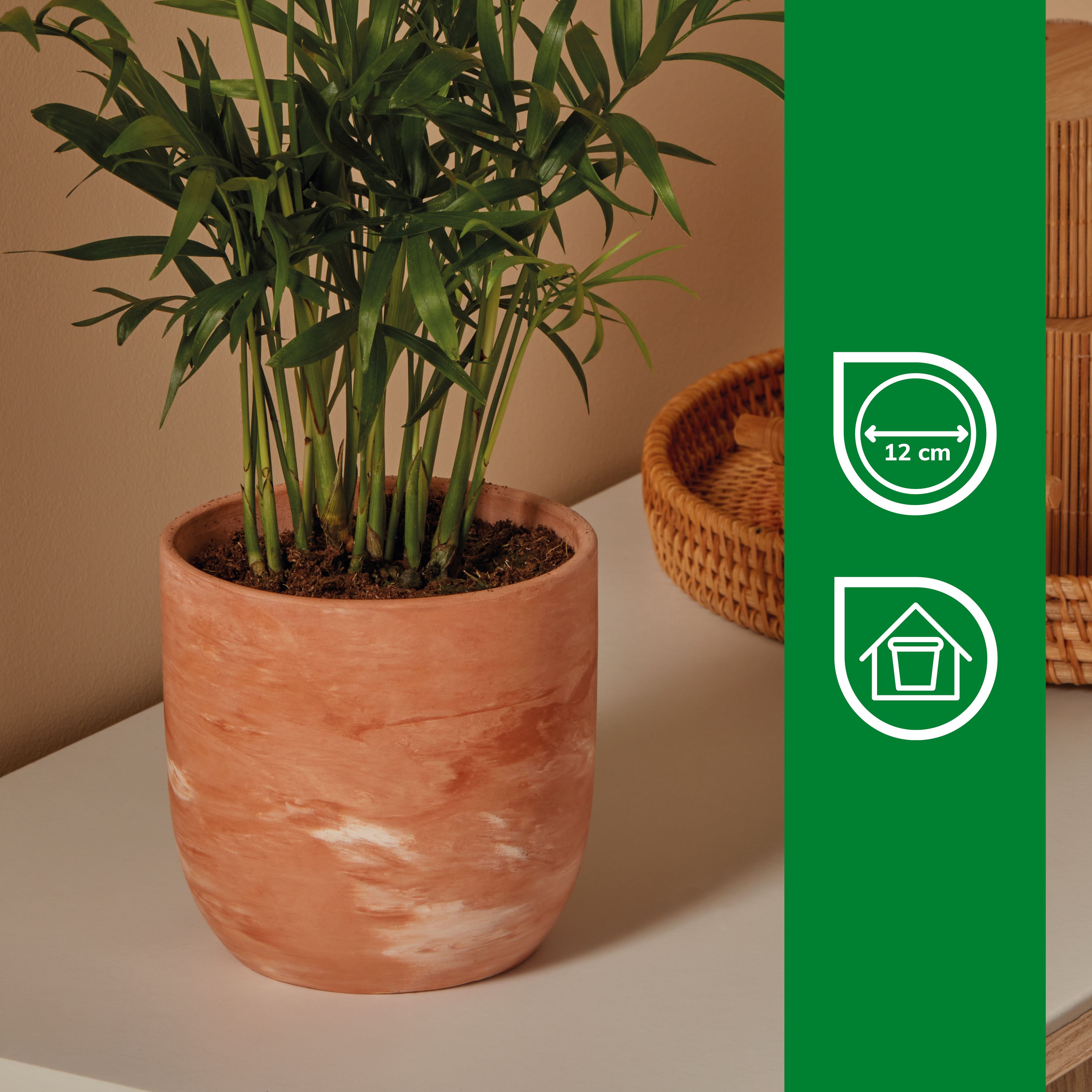 Verve Neutral Marble effect Terracotta Plant pot (Dia) 14cm, (H)13cm