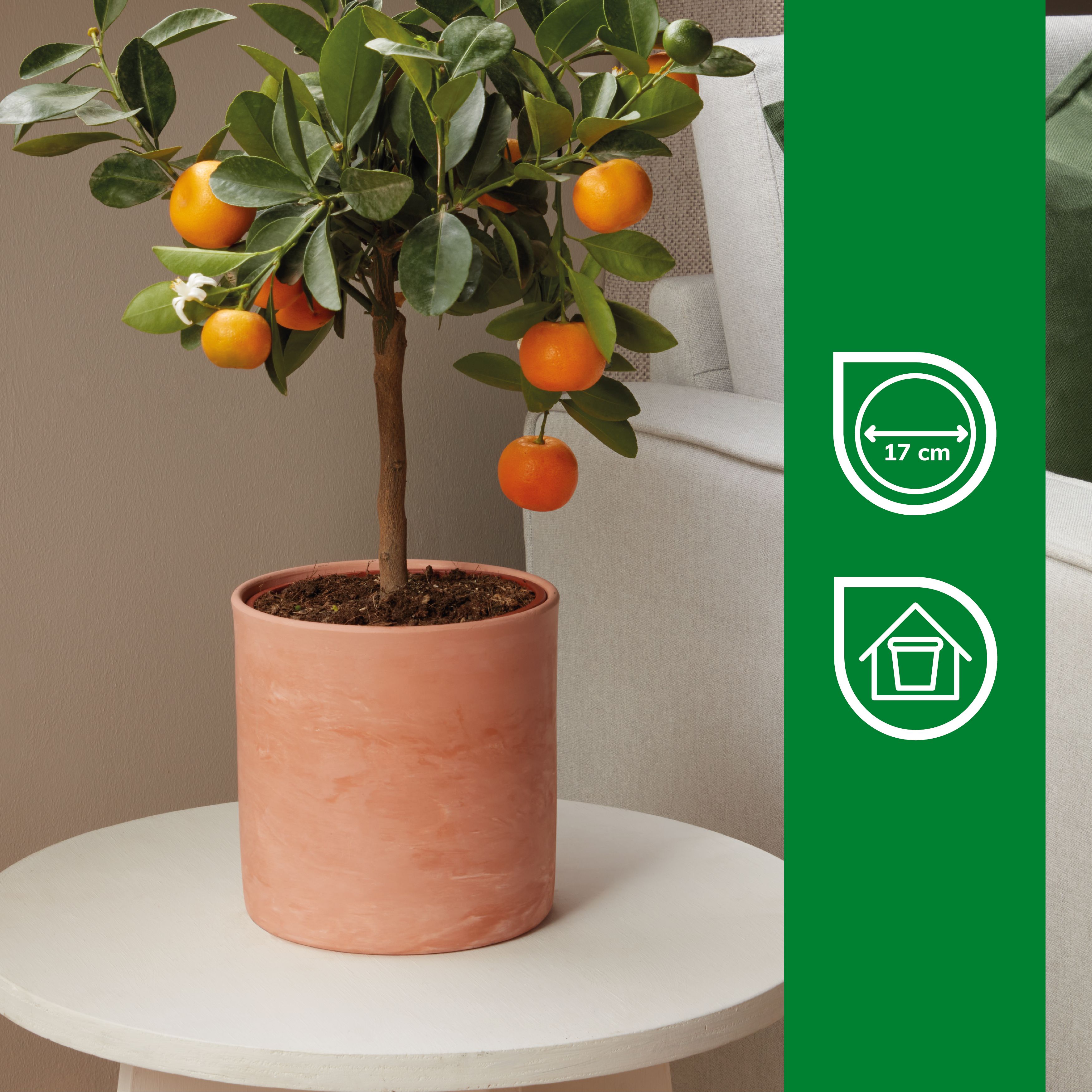 Verve Neutral Marble effect Terracotta Plant pot (Dia) 19.5cm, (H)17cm