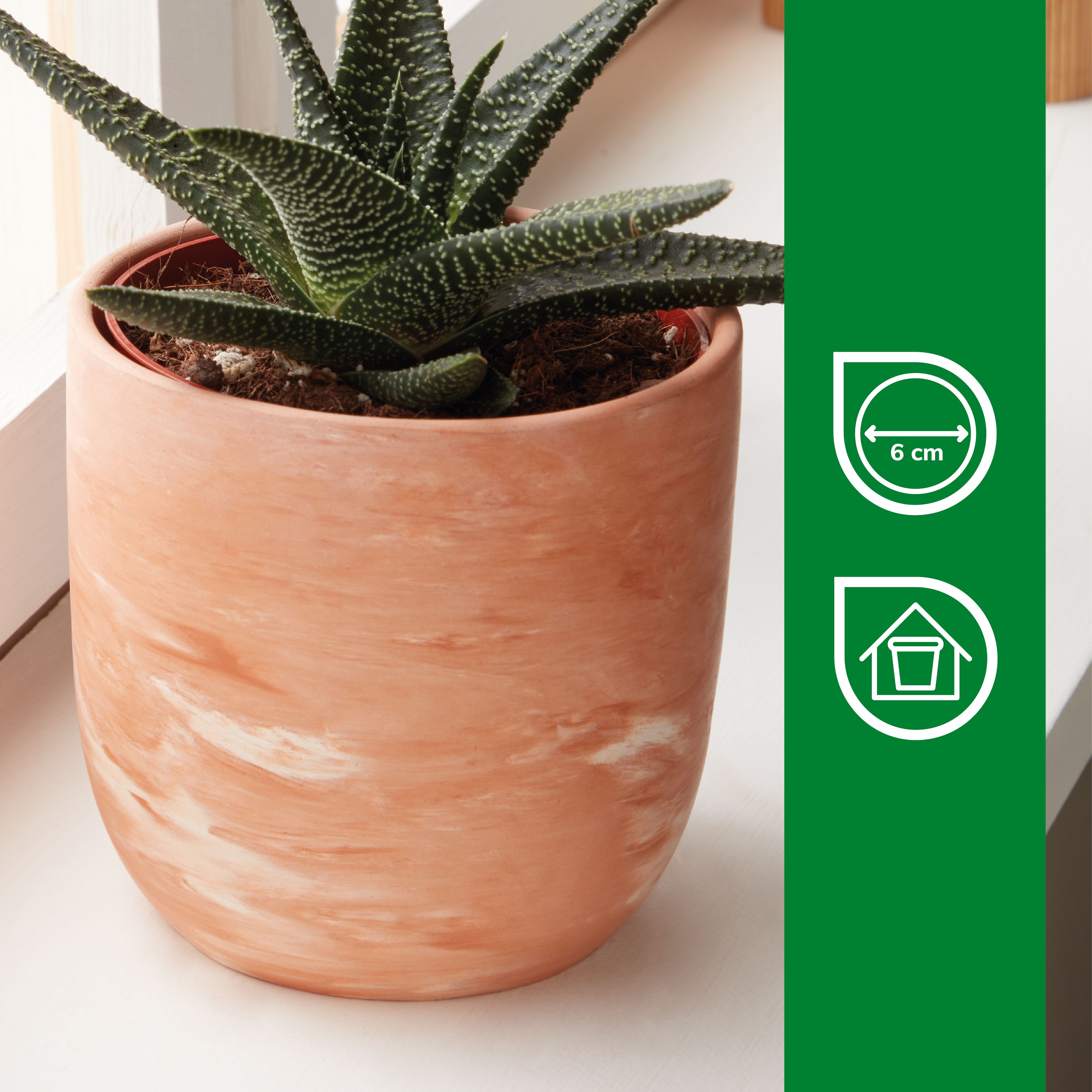 Verve Neutral Marble effect Terracotta Plant pot (Dia) 8cm, (H)7.5cm