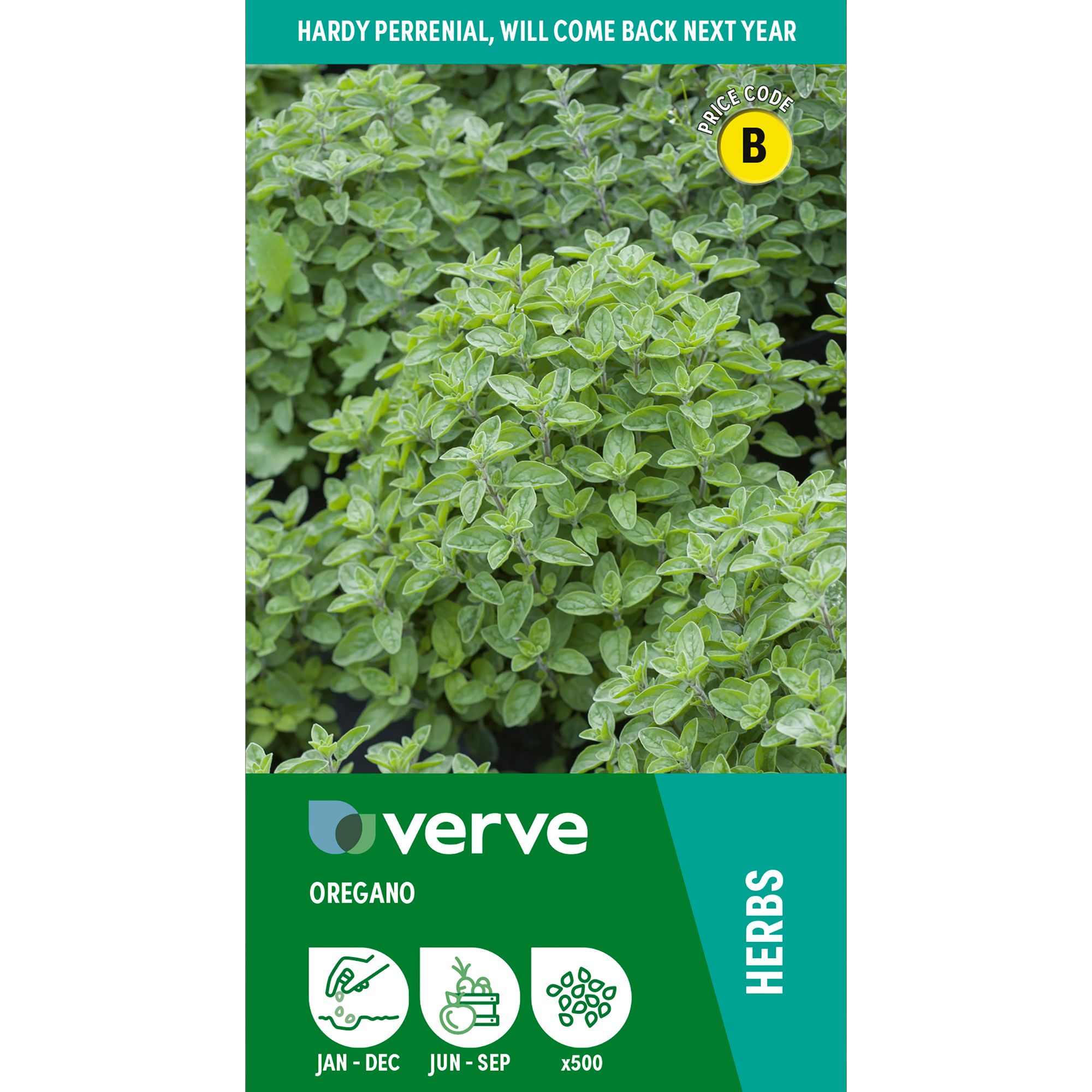 Verve 'Oregano' Herb Seeds
