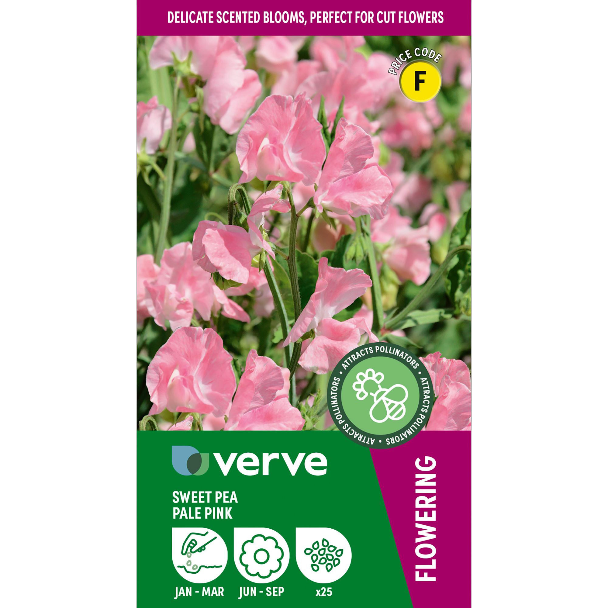 Verve Pale Pink Sweet Pea Seeds