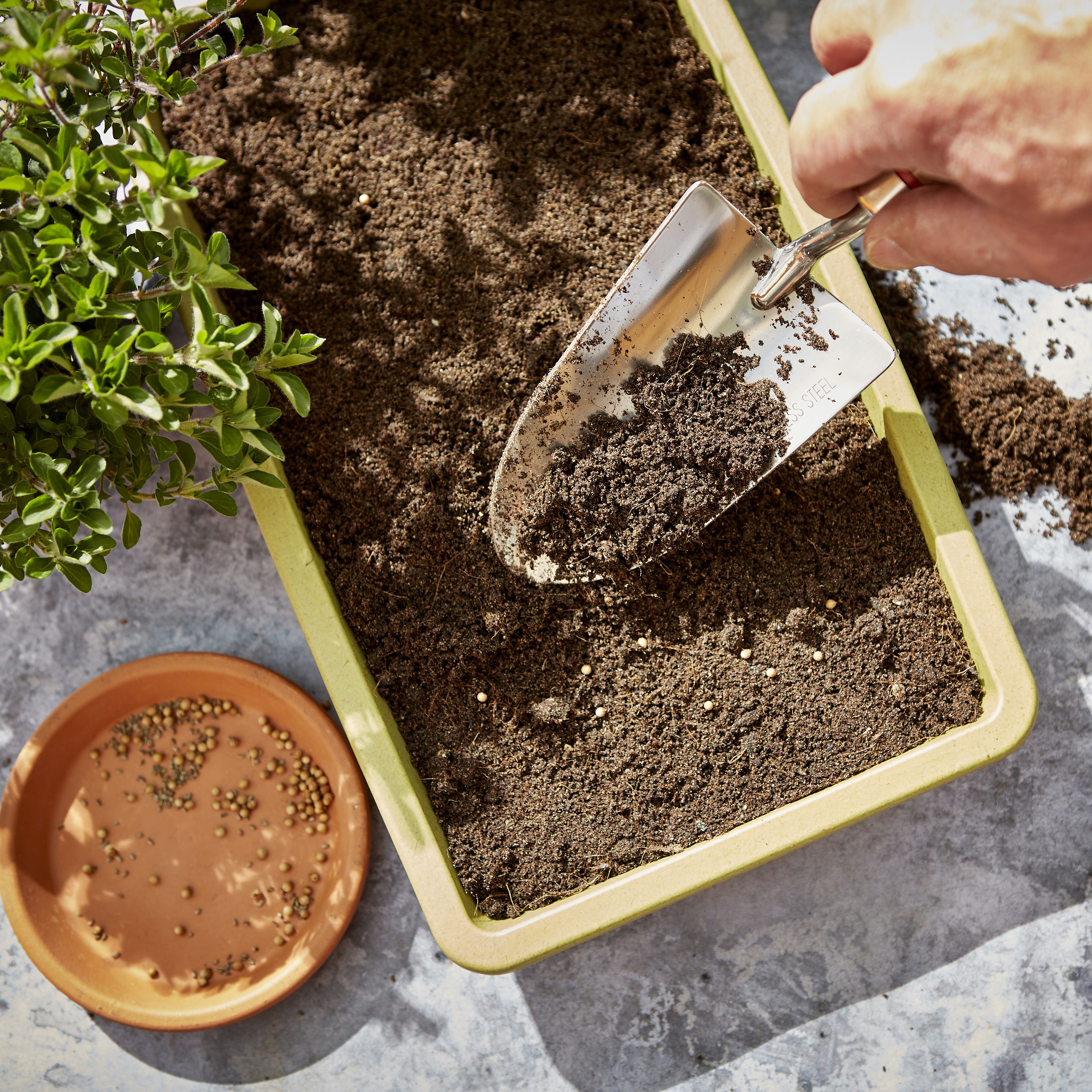 Verve Peat-free Seed & cutting Compost 10L