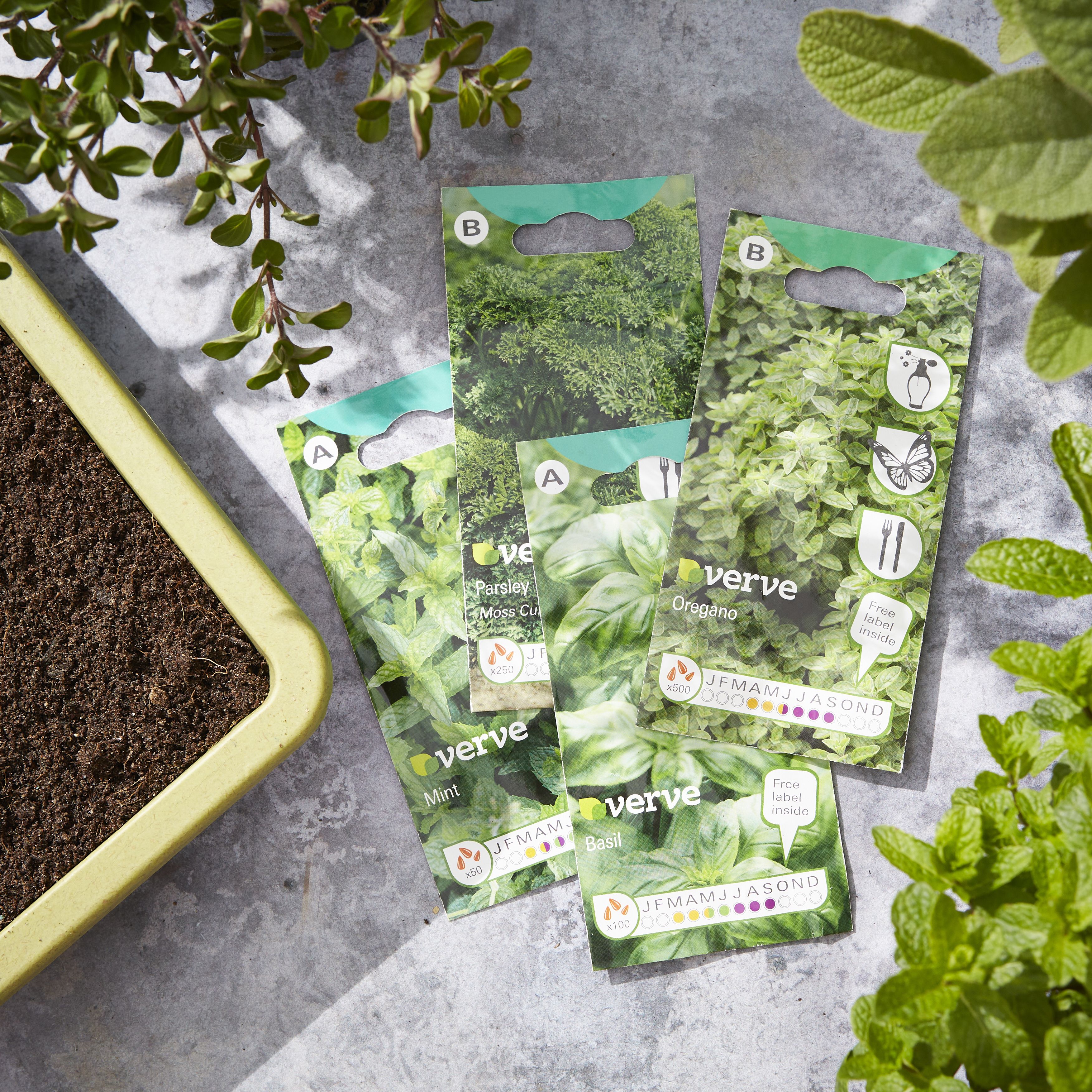Verve Peat-free Seed & cutting Compost 10L