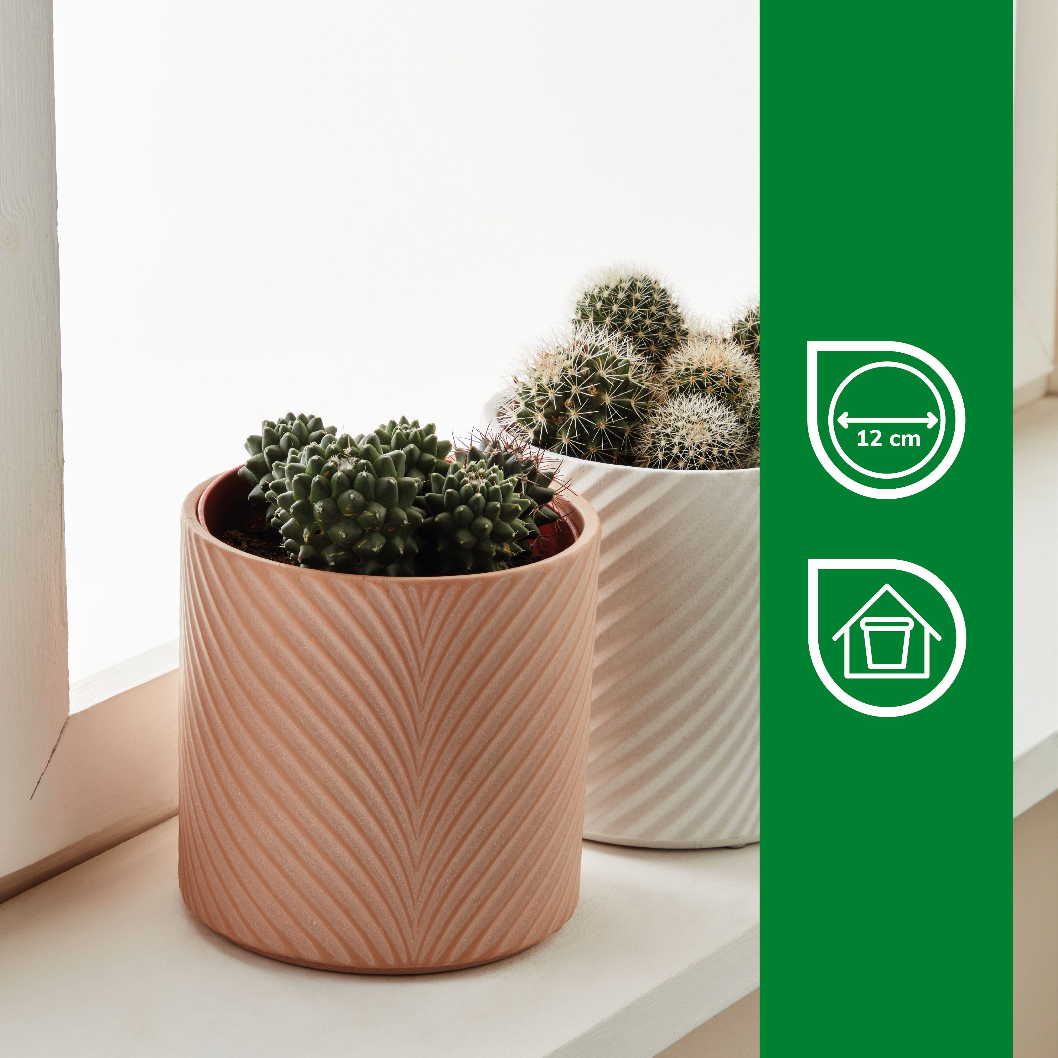 Verve Pink Wave Ceramic Plant pot (Dia) 13cm, (H)13cm