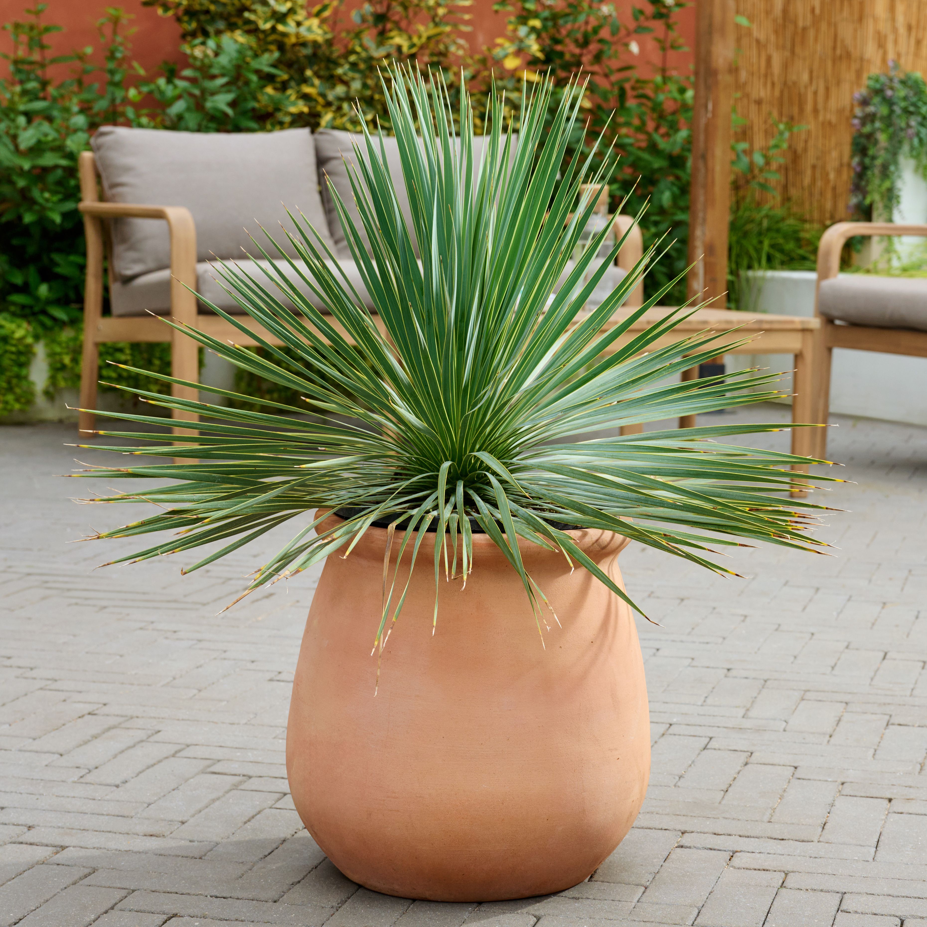 Verve Pink Whitewash Terracotta Plant pot (Dia) 35cm, (H)34cm