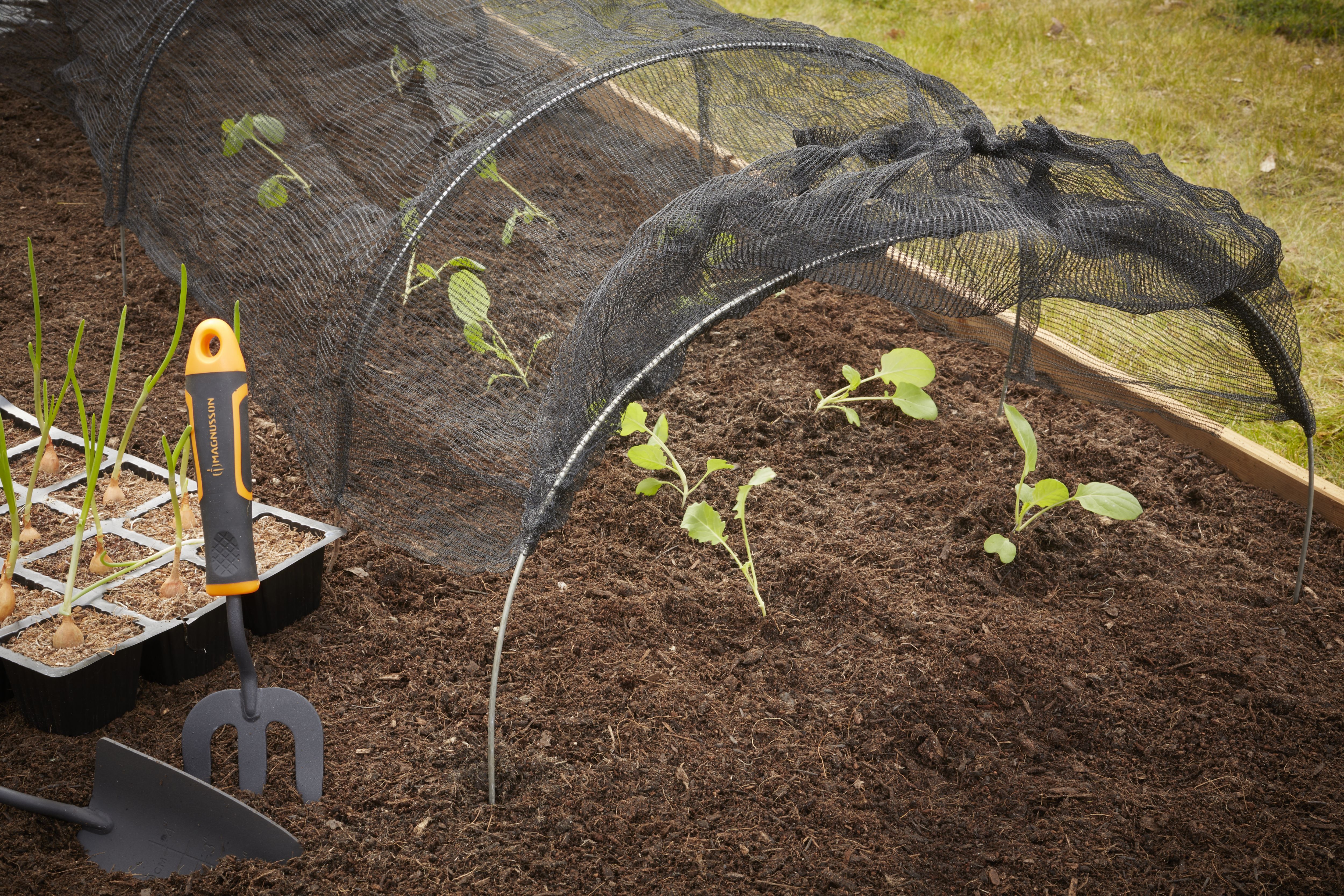 Verve Plastic Cloche