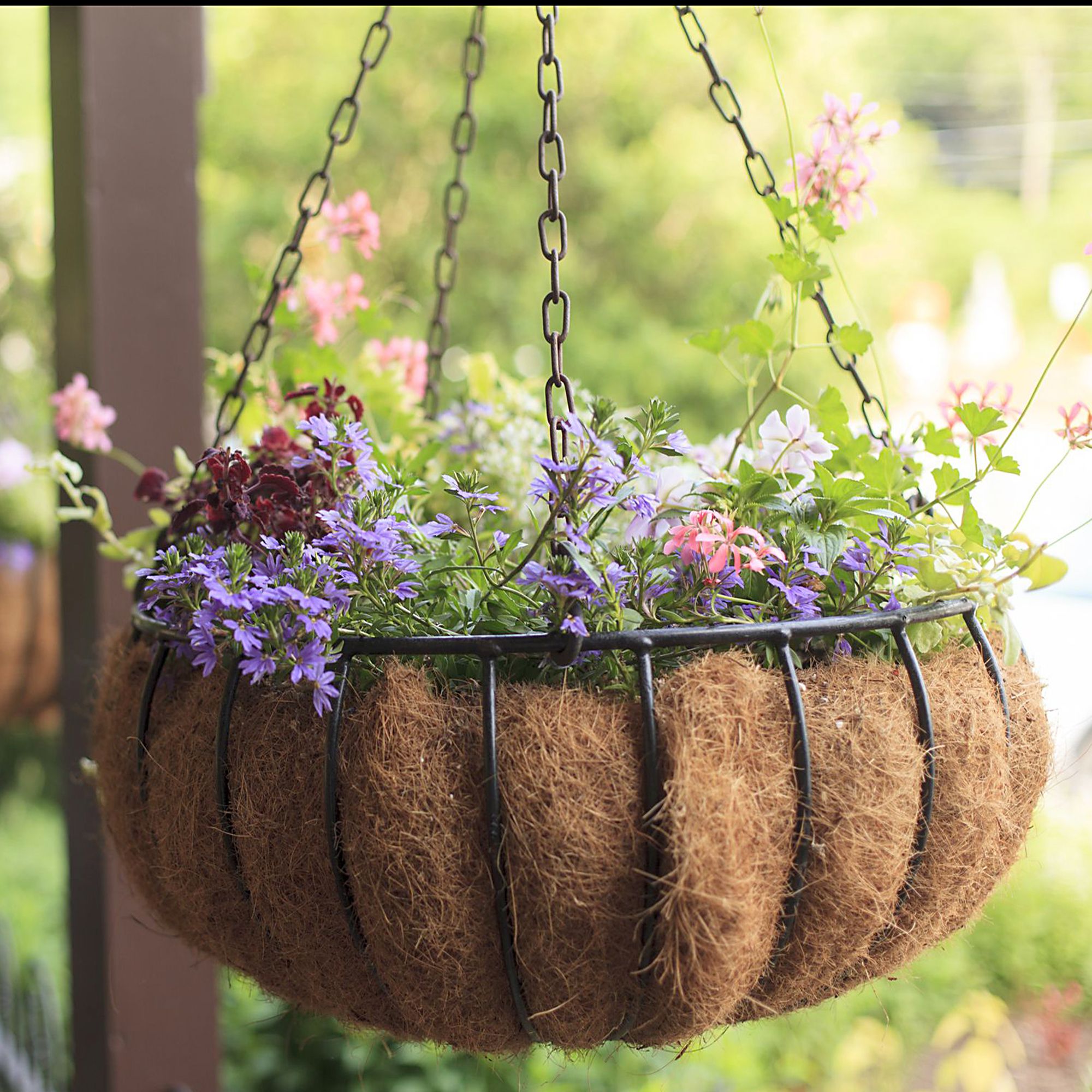 Verve Ready to use Hanging basket Plant container liner (Dia)40.6cm