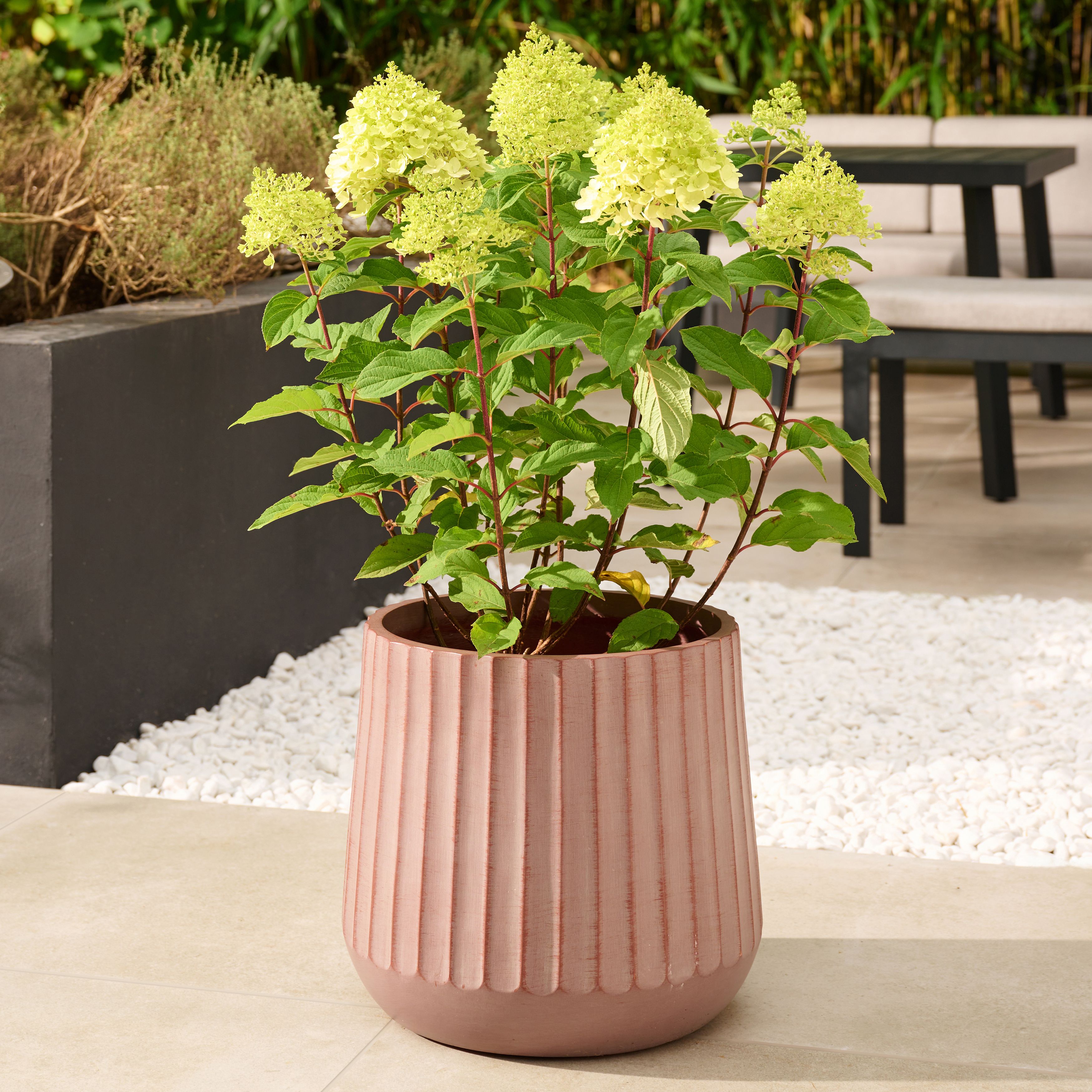 Verve Red Wide ribbed Fibreclay Plant pot (Dia) 28cm, (H)25cm