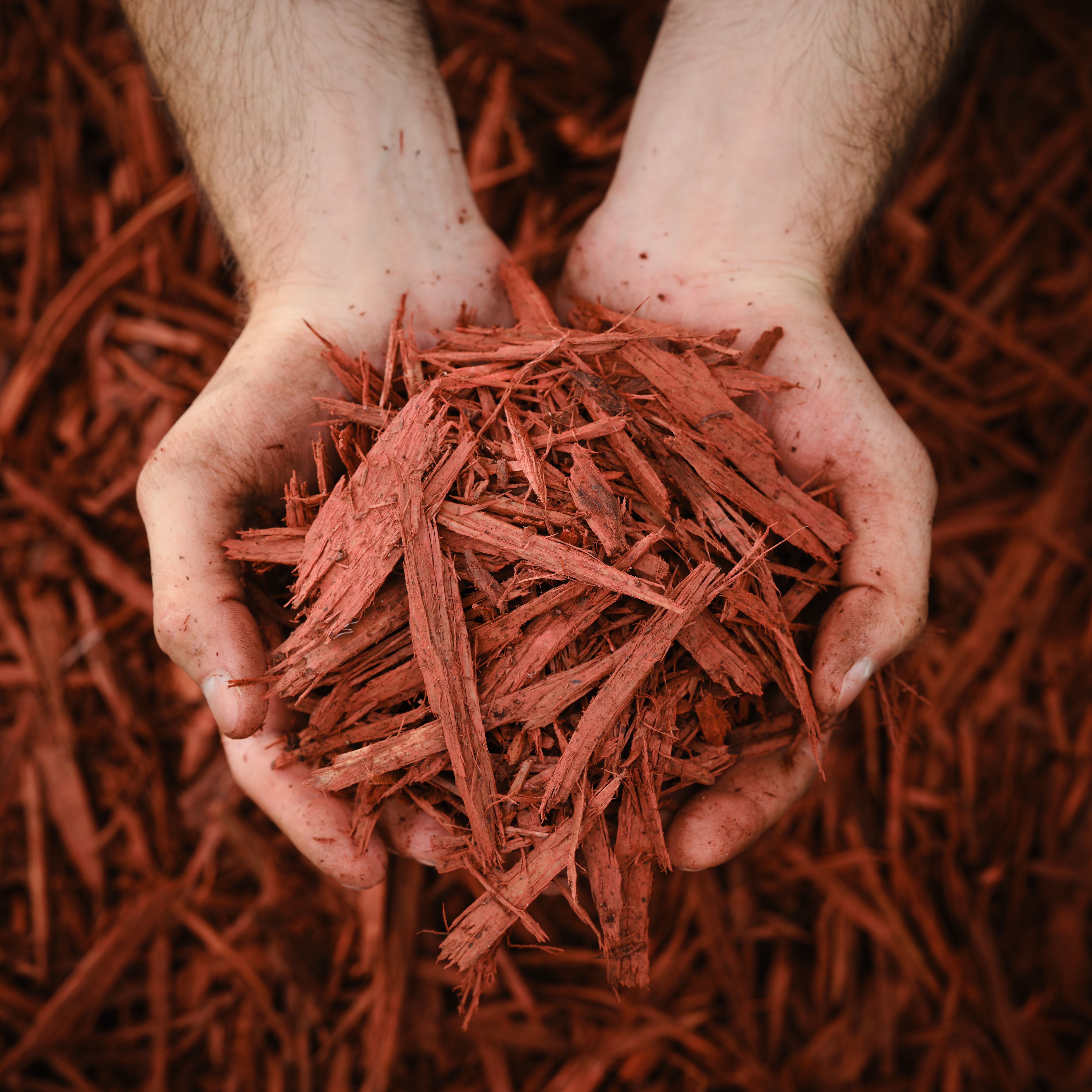 Verve Red Woodchip mulch 100L Bag