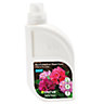 Verve Rhododendron Liquid Plant feed 1L