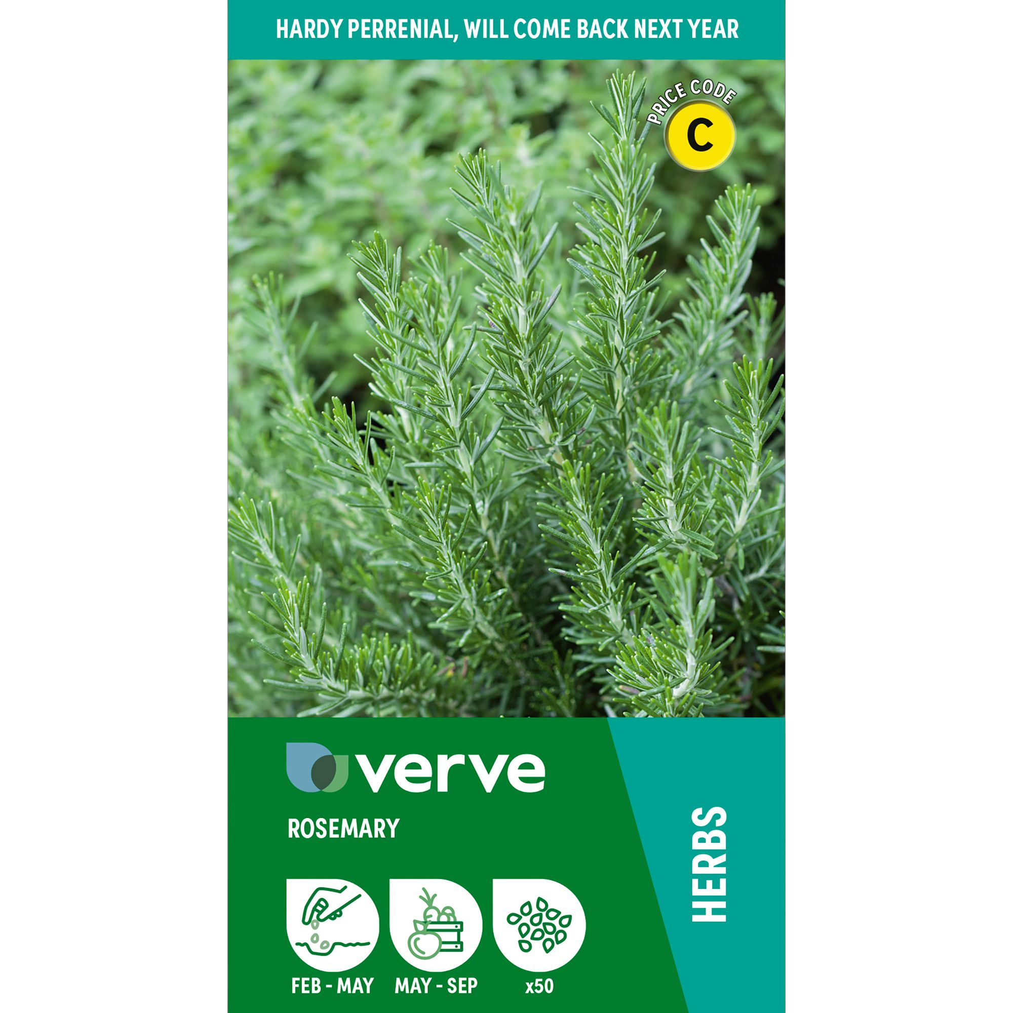 Verve 'Rosemary' Herb Seeds