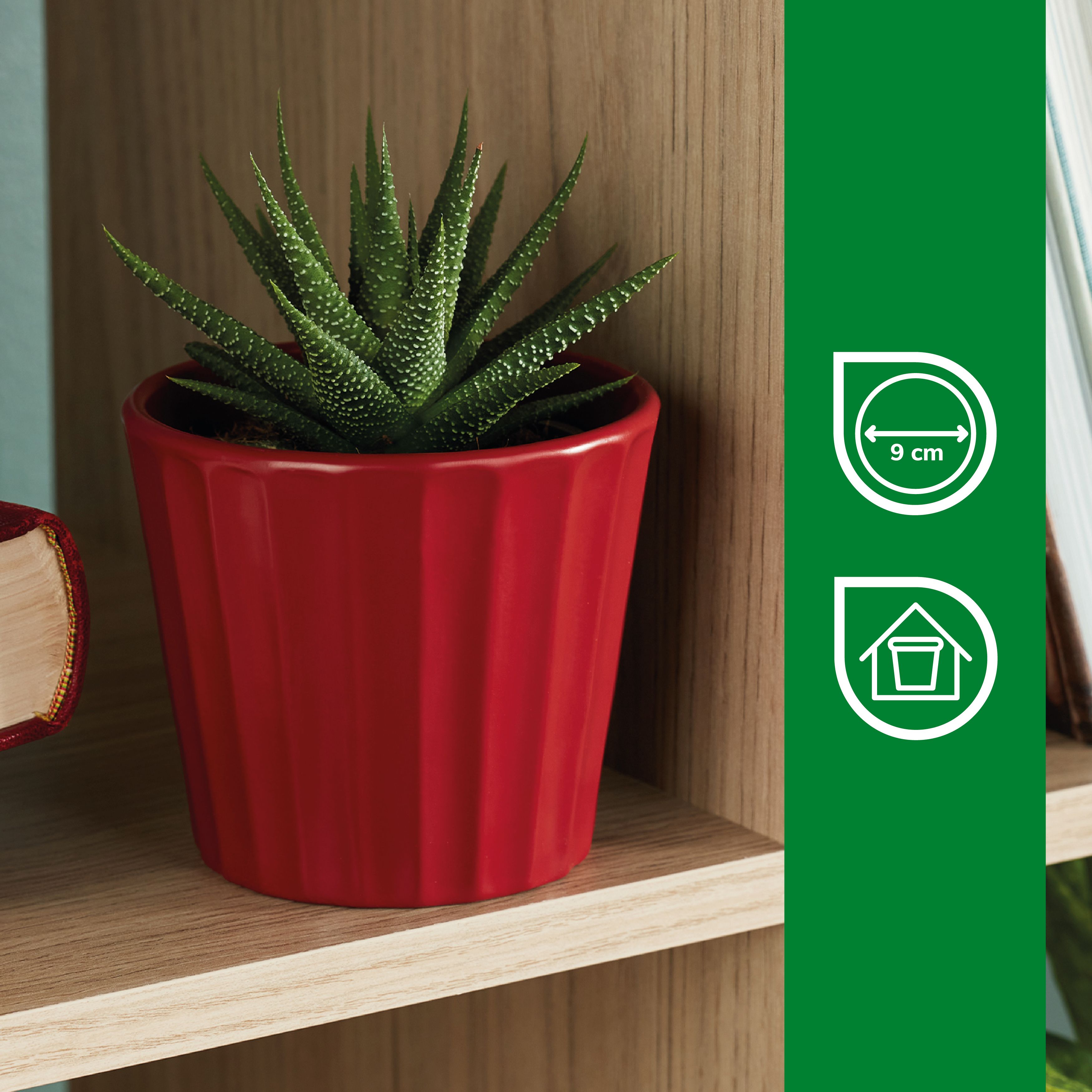 Verve Scarlet Sage Red Ribbed Clay Plant pot (Dia) 11cm, (H)10cm