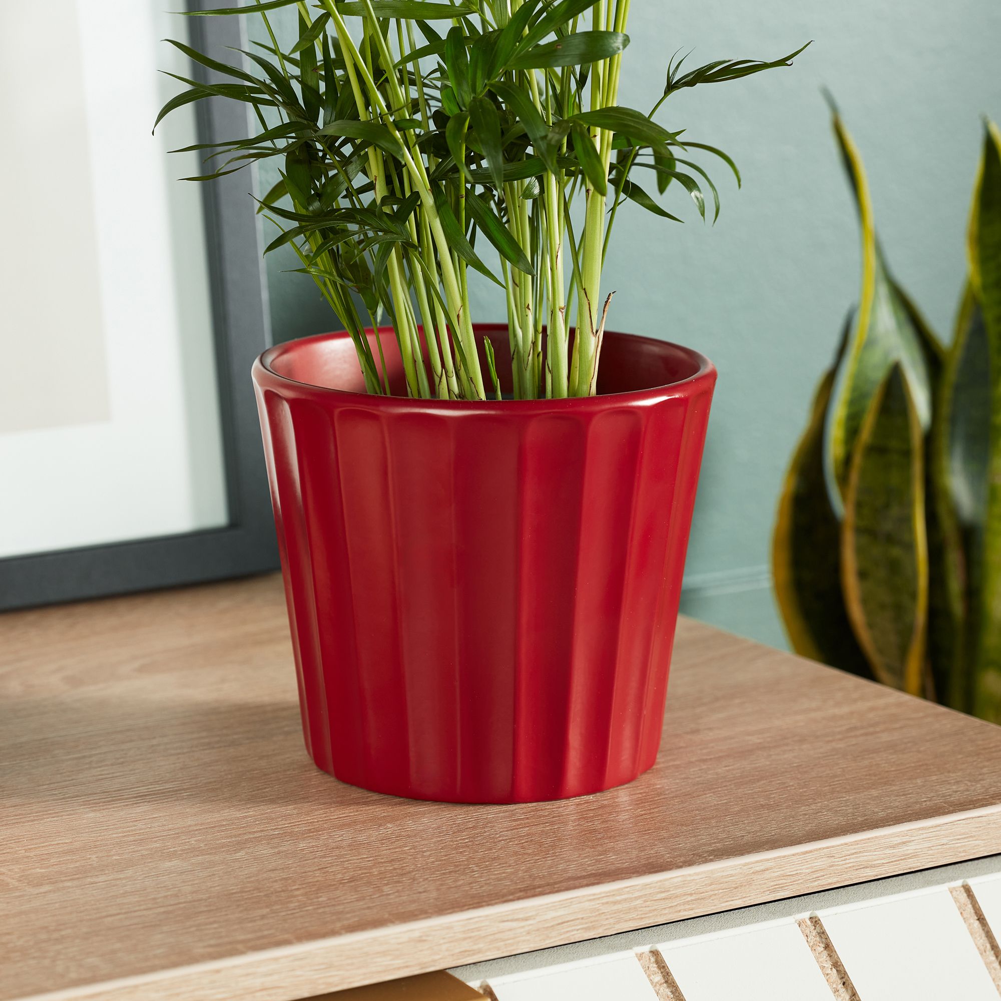 Verve Scarlet Sage Red Ribbed Clay Plant pot (Dia) 14.5cm, (H)13cm
