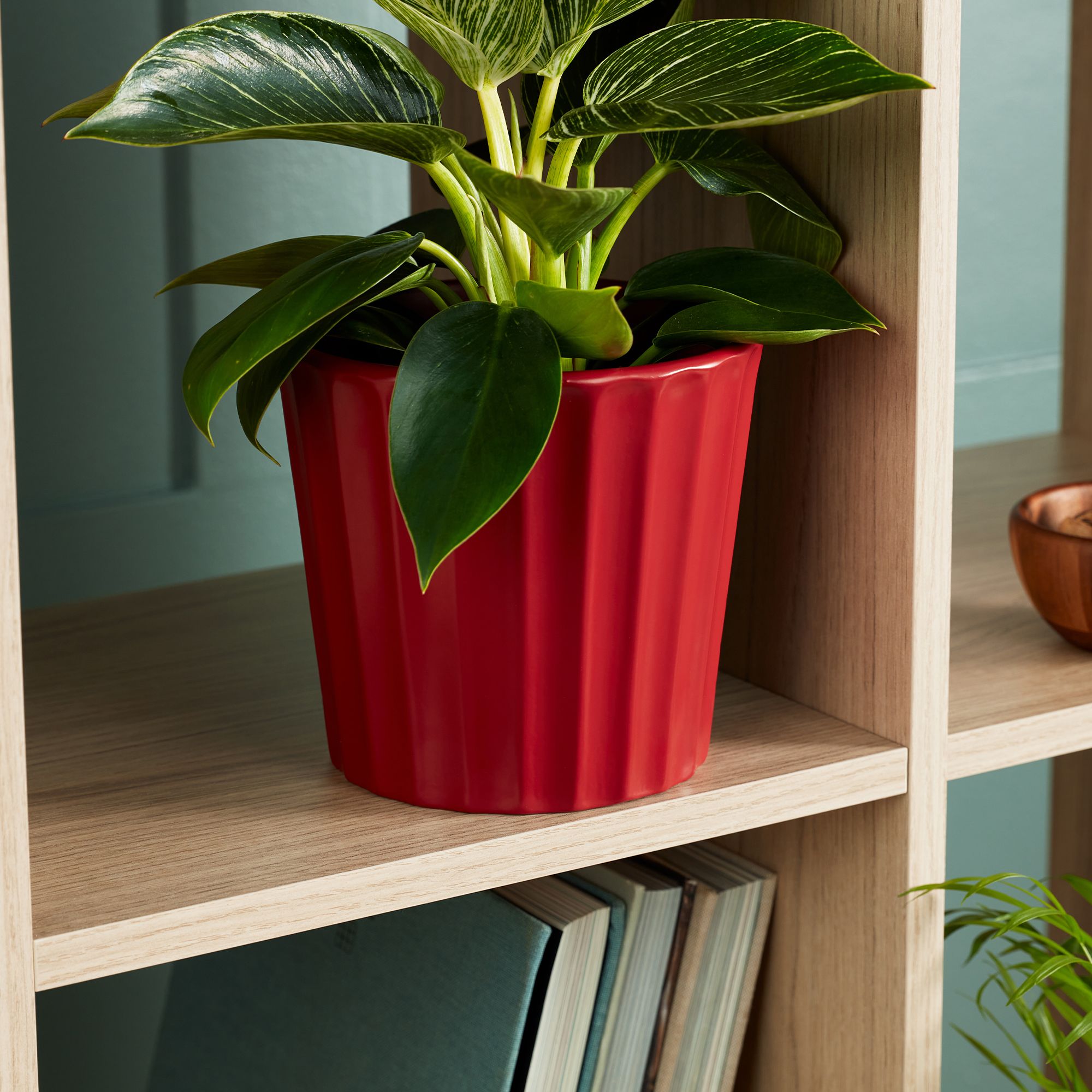 Verve Scarlet Sage Red Ribbed Clay Plant pot (Dia) 16.5cm, (H)15cm