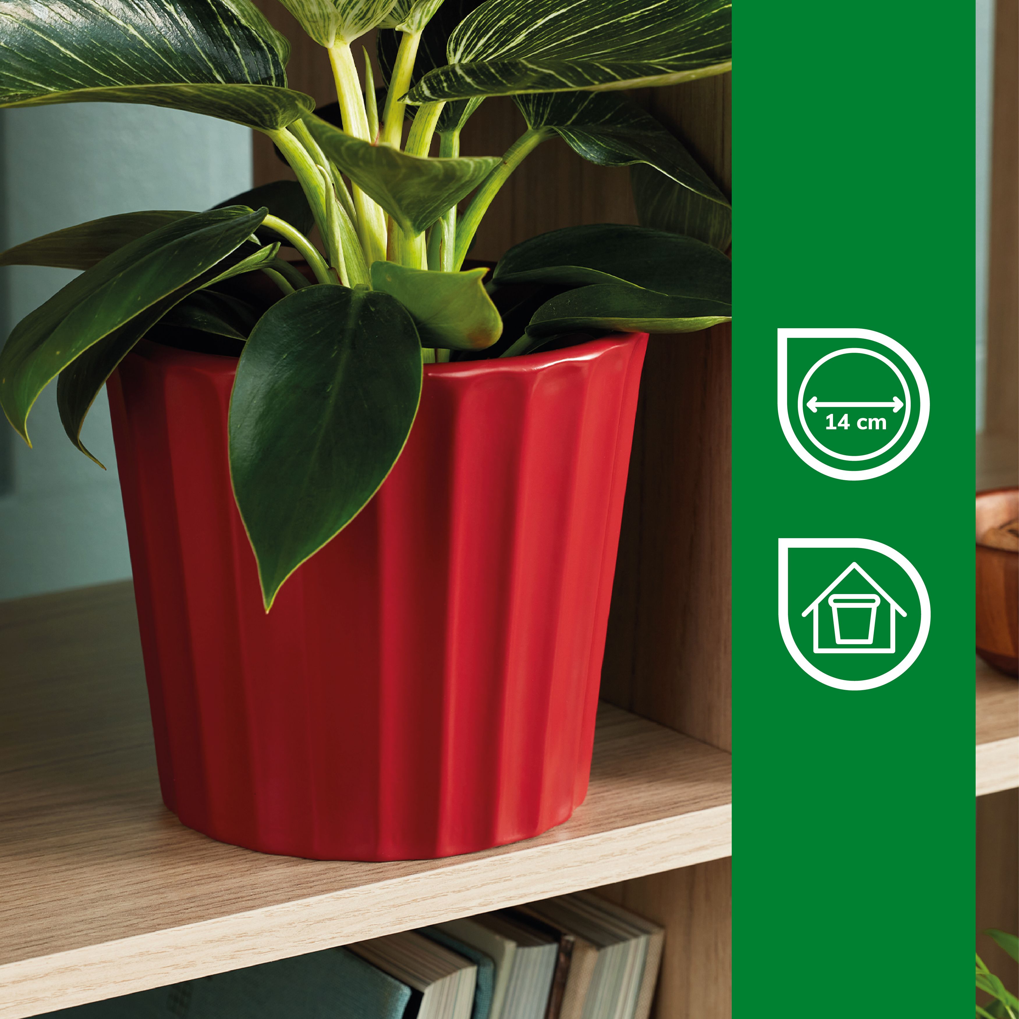 Verve Scarlet Sage Red Ribbed Clay Plant pot (Dia) 16.5cm, (H)15cm